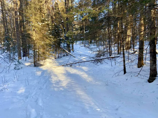 $62,000 | Nichols Road, Dalton, NH 03598