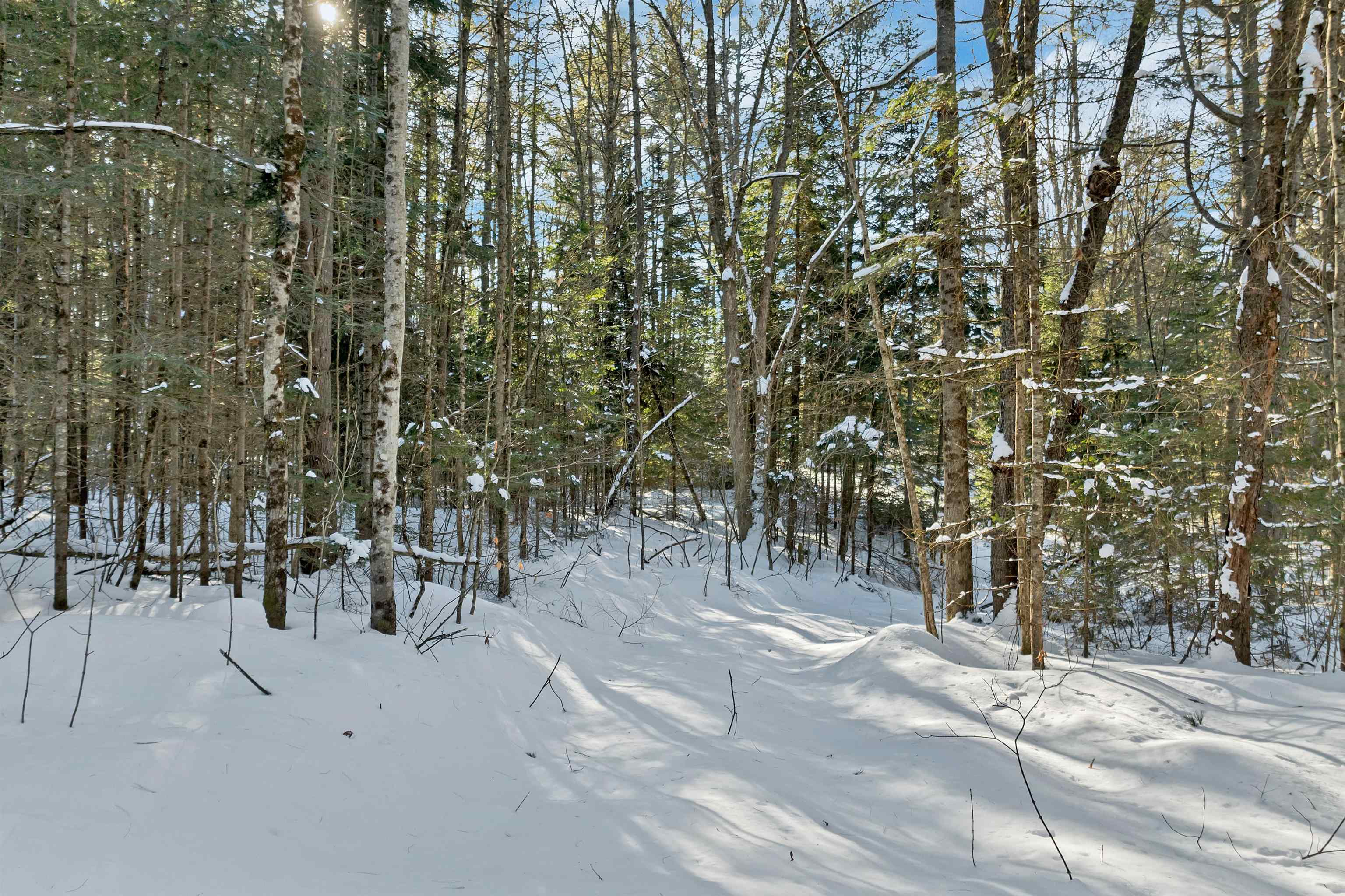Nichols Road Dalton, NH 03598 - Photo 11 of 21