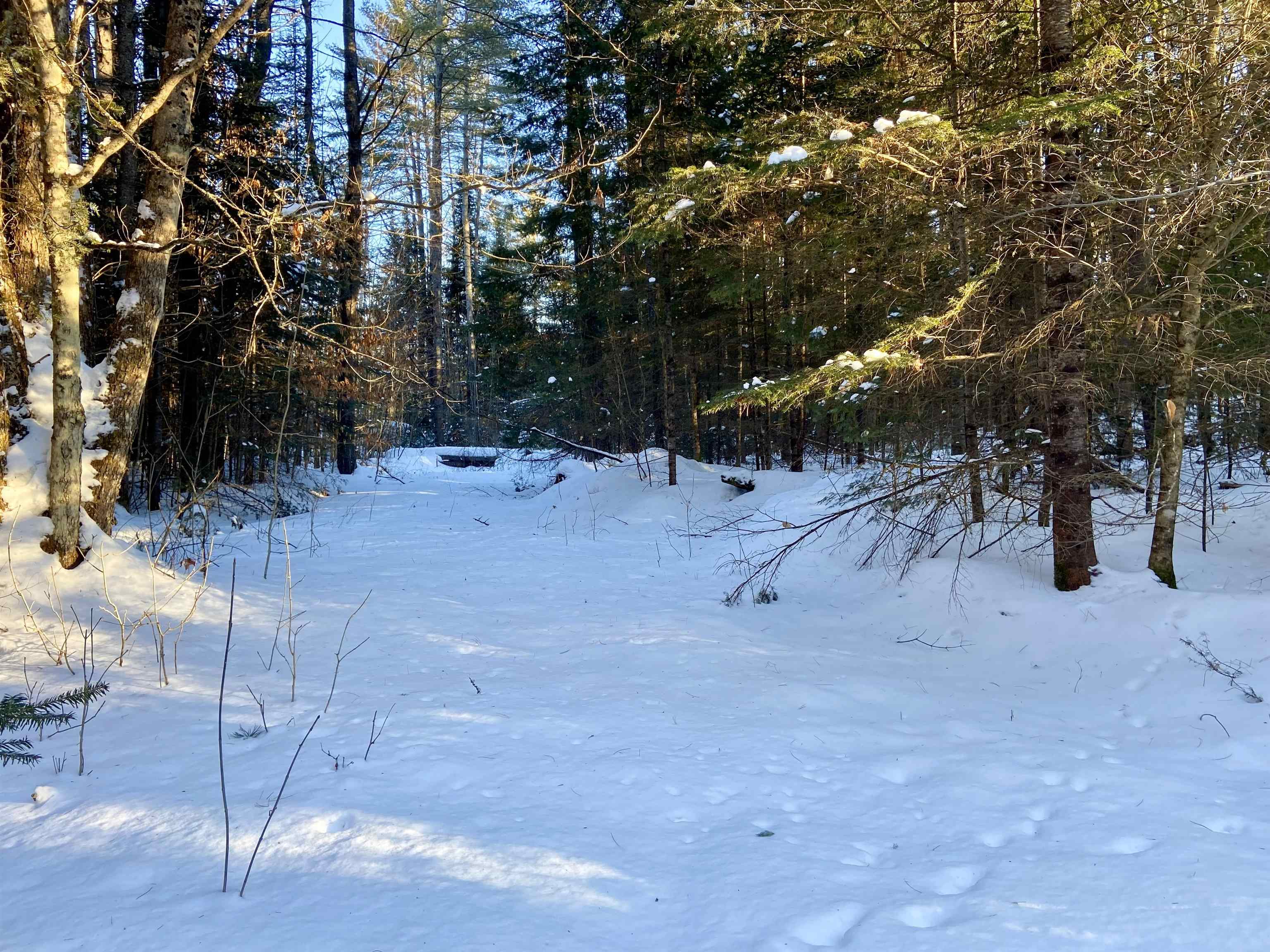 Nichols Road Dalton, NH 03598 - Photo 12 of 14