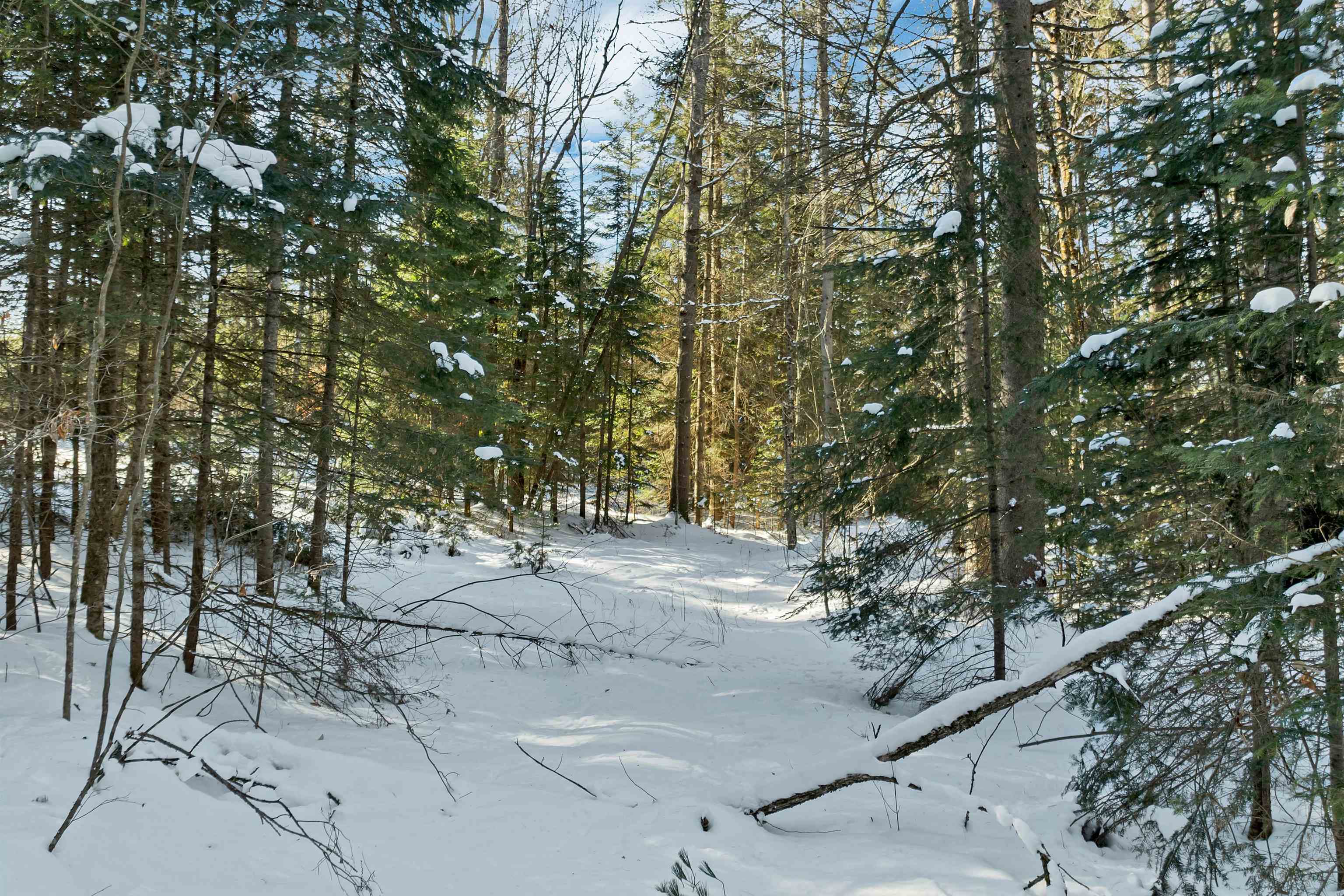 Nichols Road Dalton, NH 03598 - Photo 12 of 21