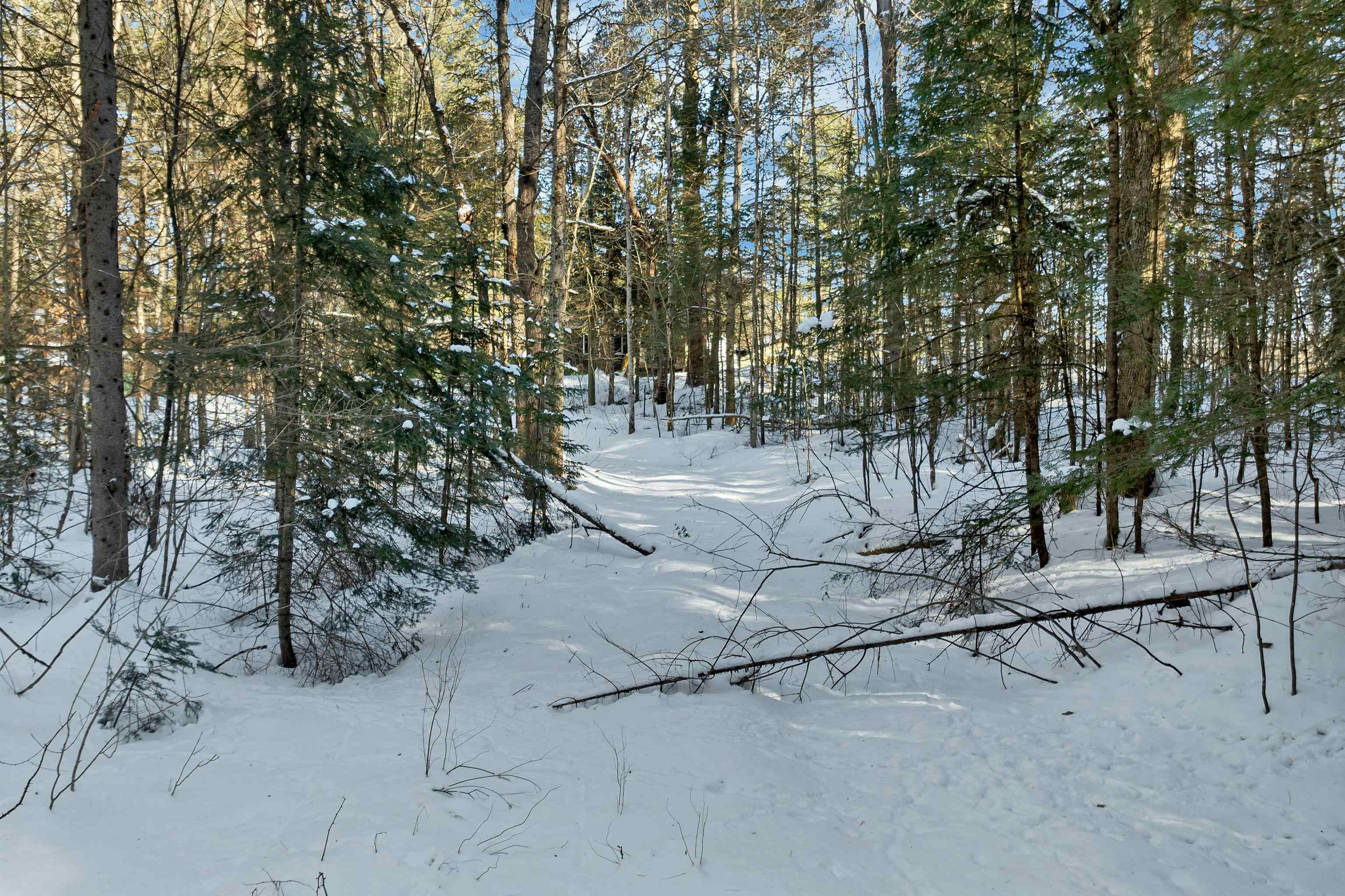 Nichols Road Dalton, NH 03598 - Photo 13 of 21