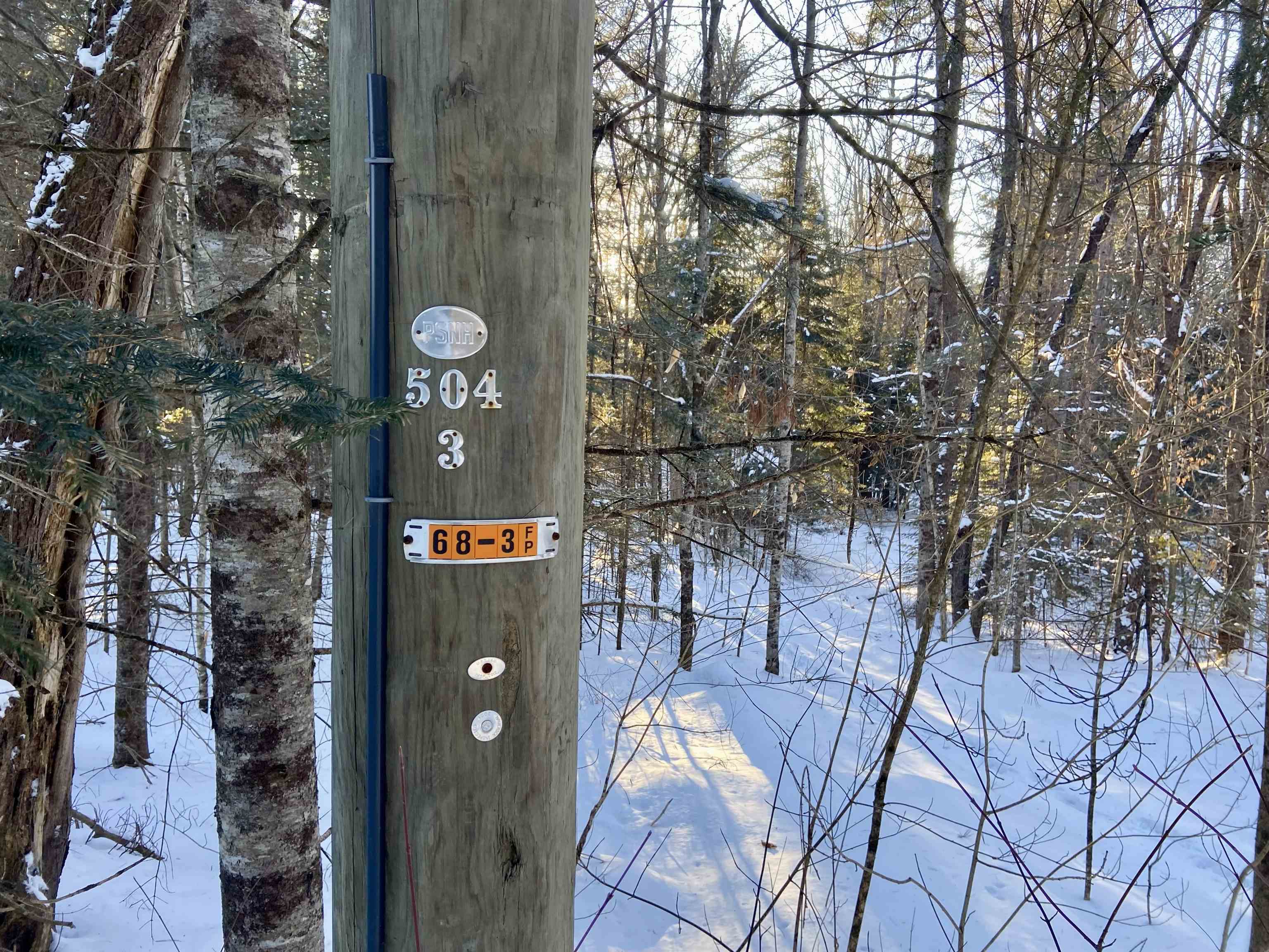 Nichols Road Dalton, NH 03598 - Photo 13 of 14