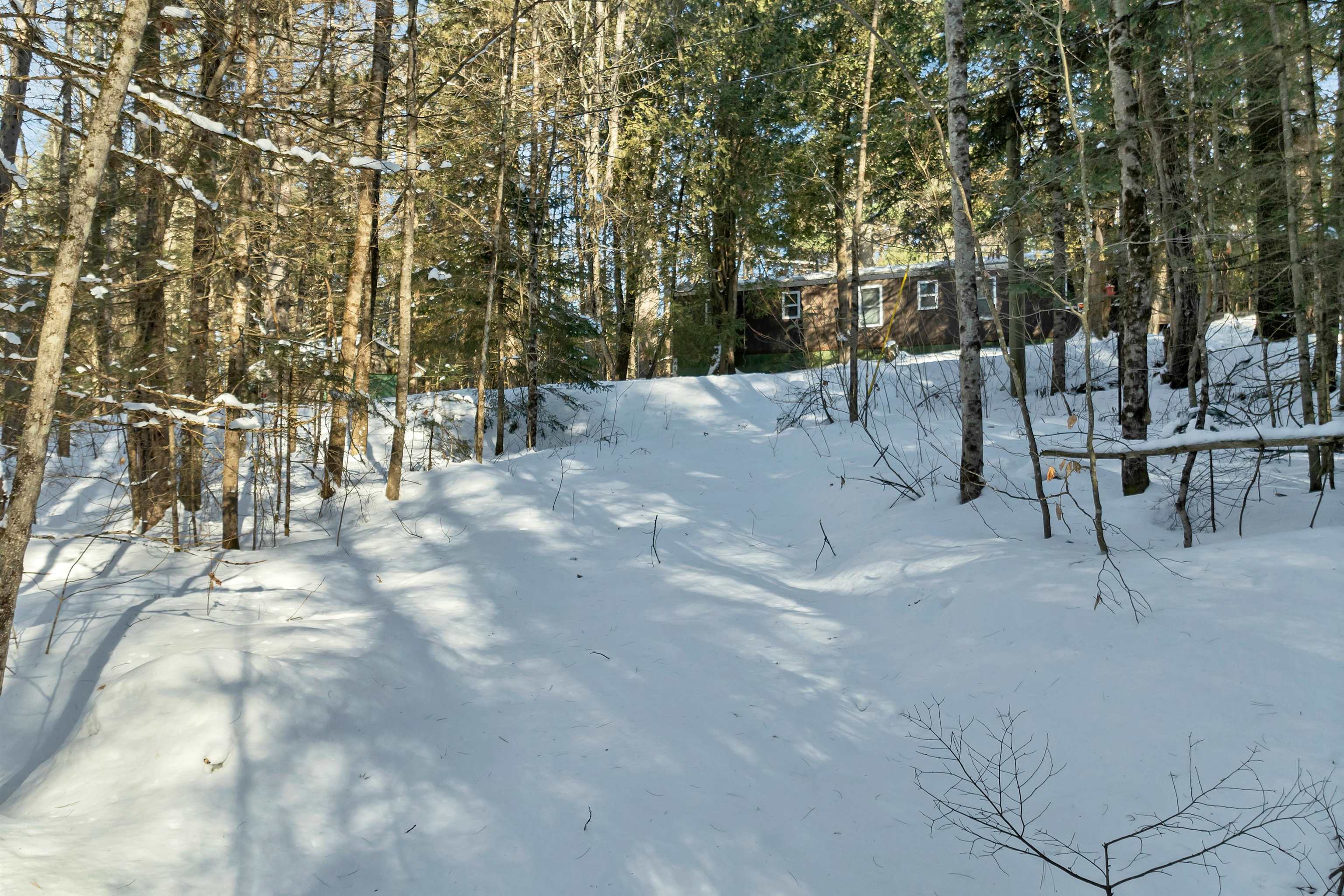 Nichols Road Dalton, NH 03598 - Photo 14 of 21