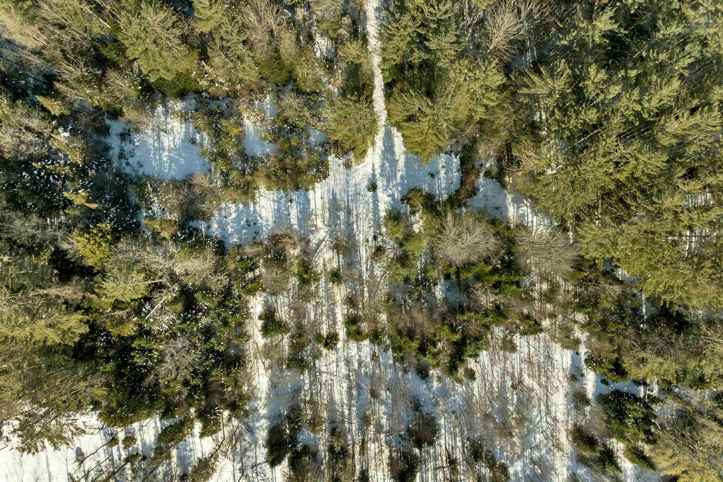 Nichols Road Dalton, NH 03598 - Photo 19 of 21