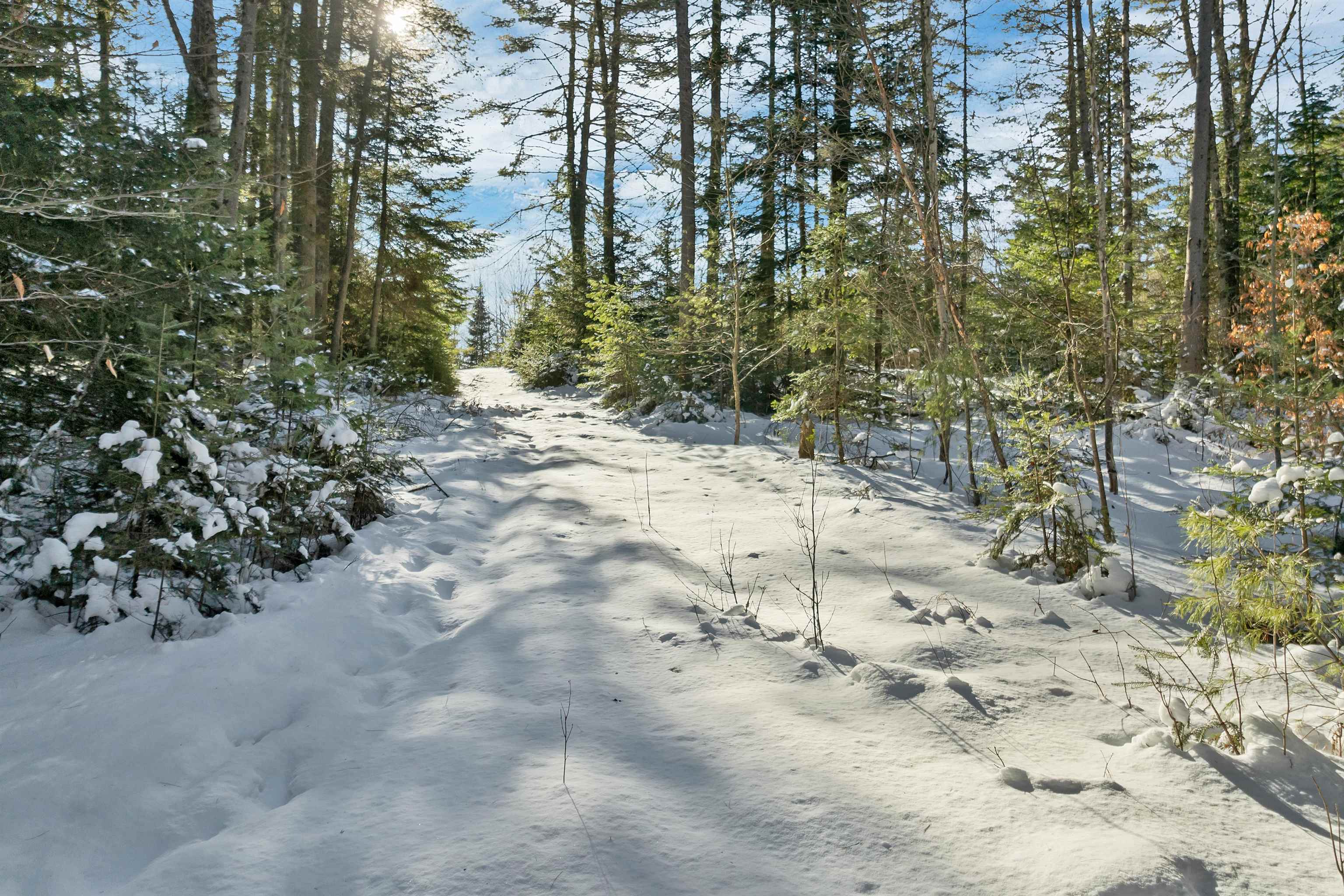 Nichols Road Dalton, NH 03598 - Photo 2 of 21