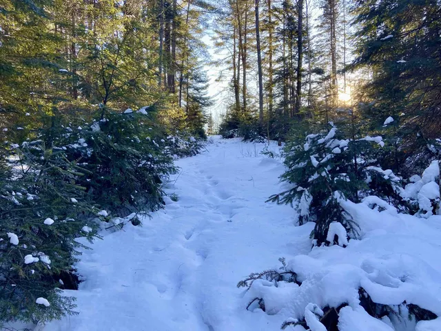 $62,000 | Nichols Road, Dalton, NH 03598