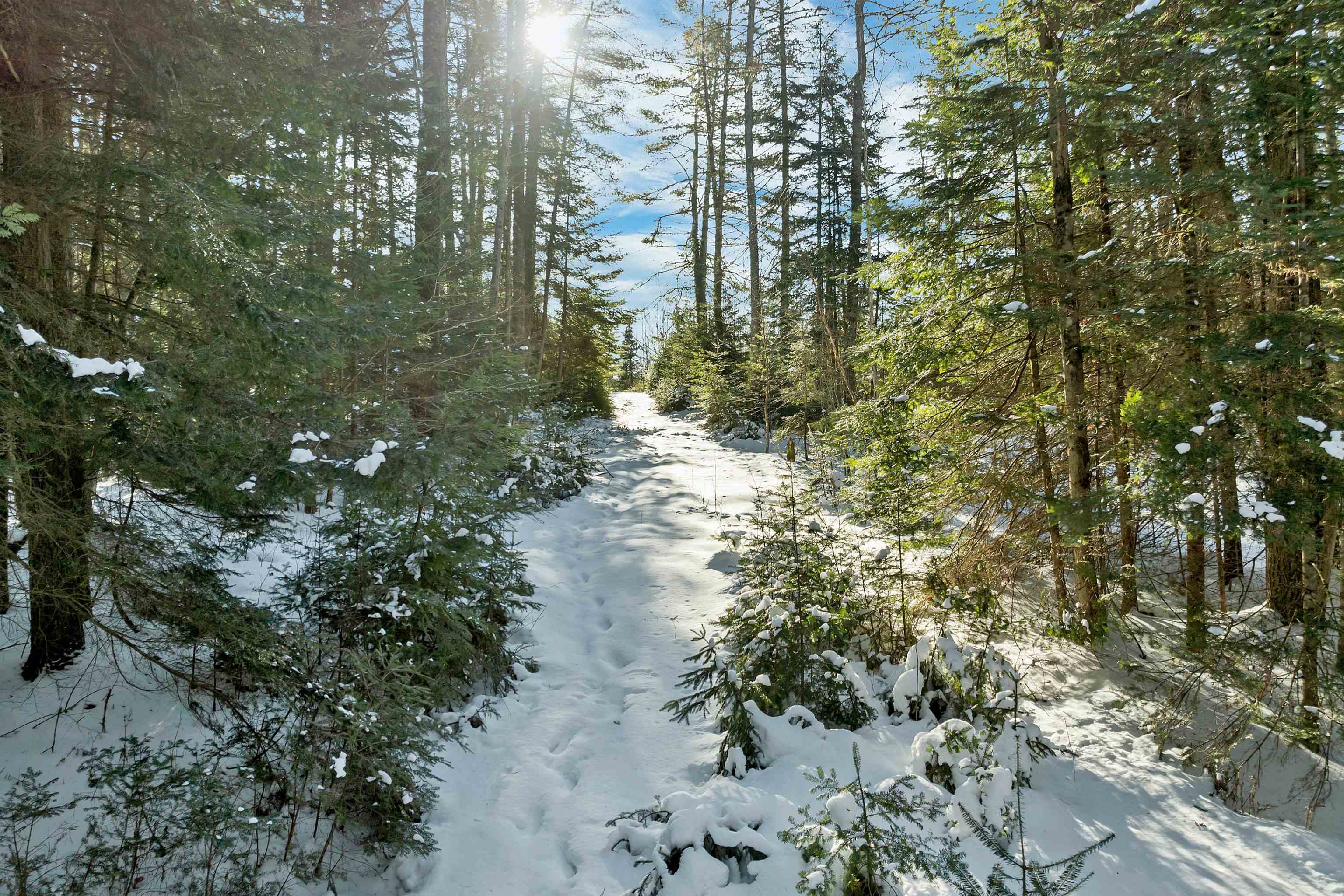 Nichols Road Dalton, NH 03598 - Photo 3 of 21