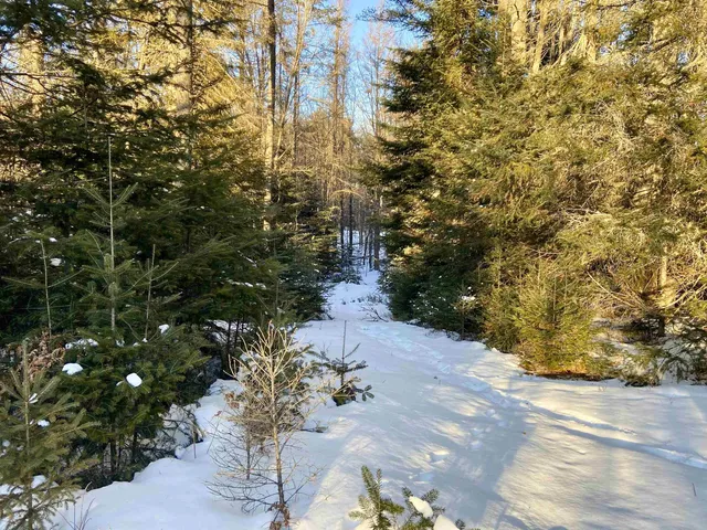 $62,000 | Nichols Road, Dalton, NH 03598