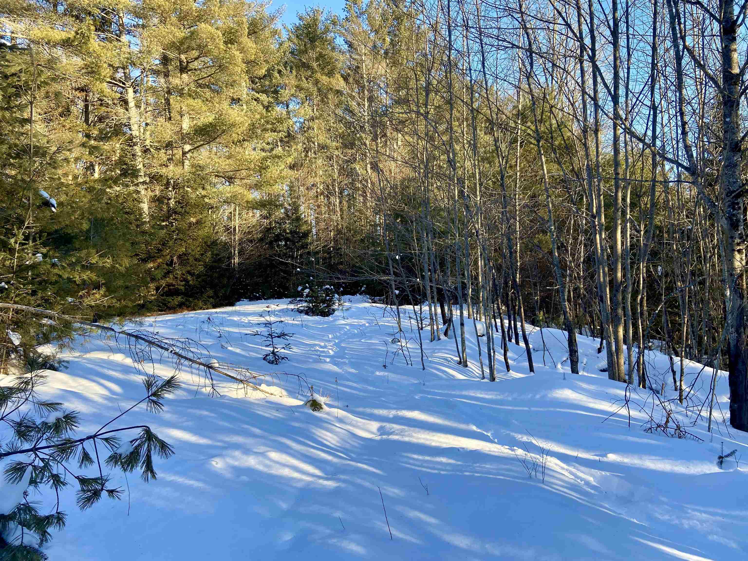 Nichols Road Dalton, NH 03598 - Photo 4 of 14