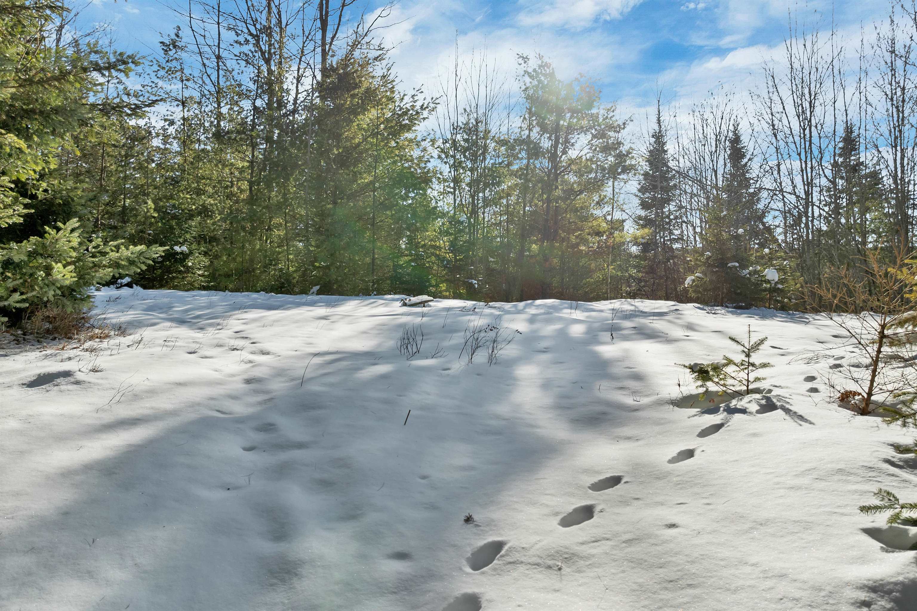 Nichols Road Dalton, NH 03598 - Photo 4 of 21