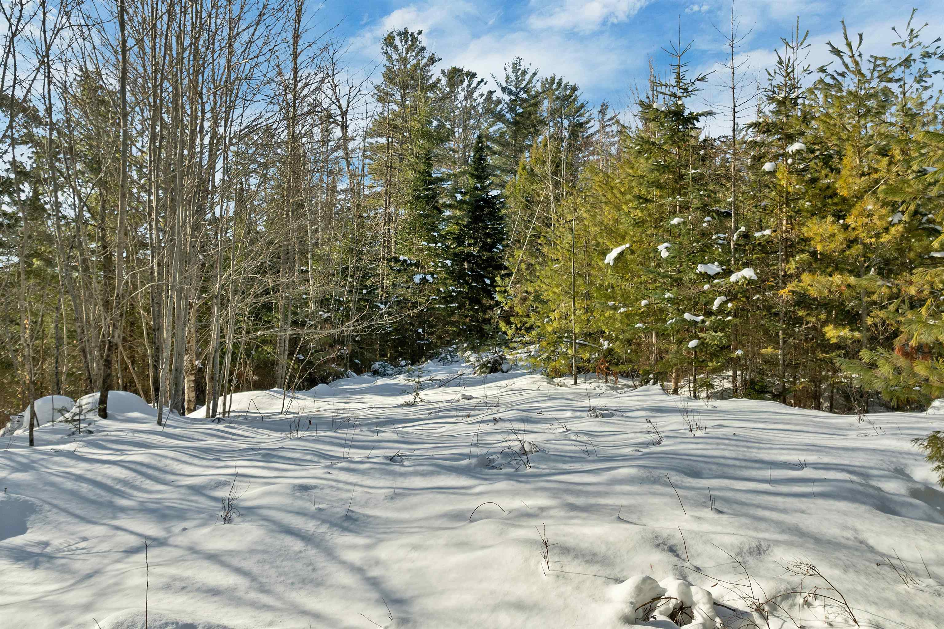Nichols Road Dalton, NH 03598 - Photo 5 of 21