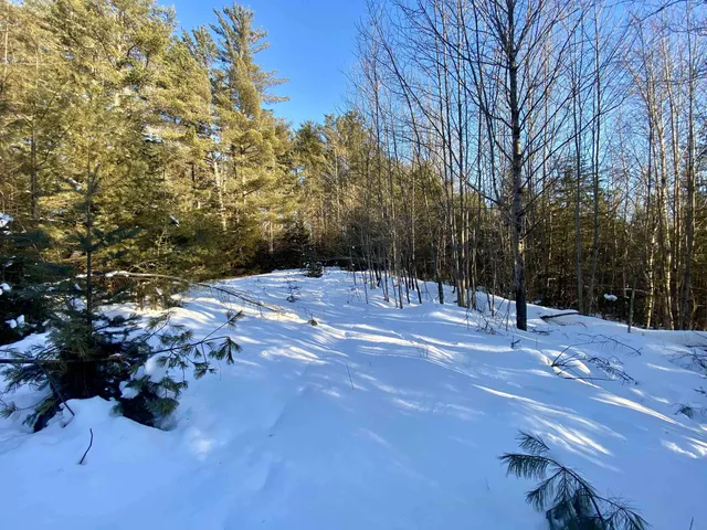 $62,000 | Nichols Road, Dalton, NH 03598