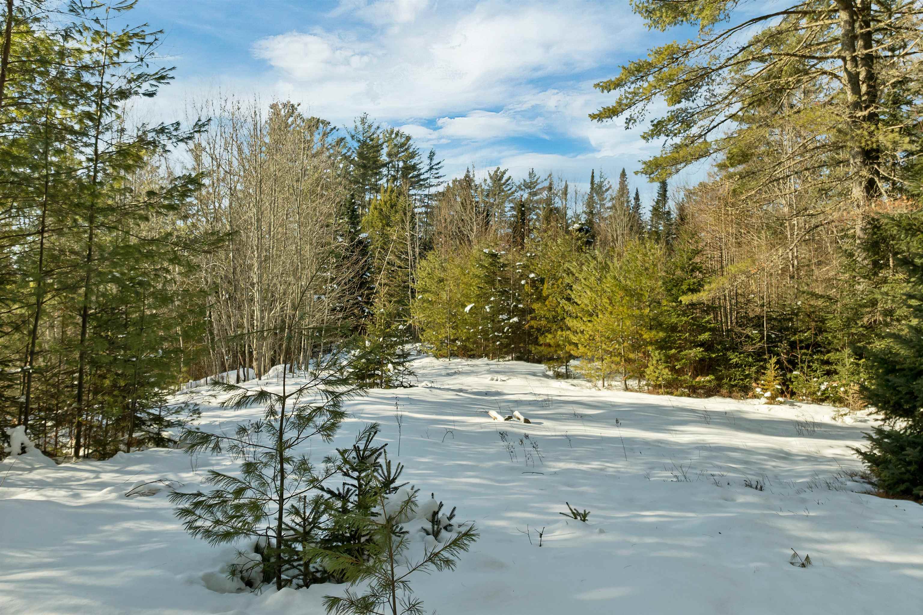 Nichols Road Dalton, NH 03598 - Photo 6 of 21