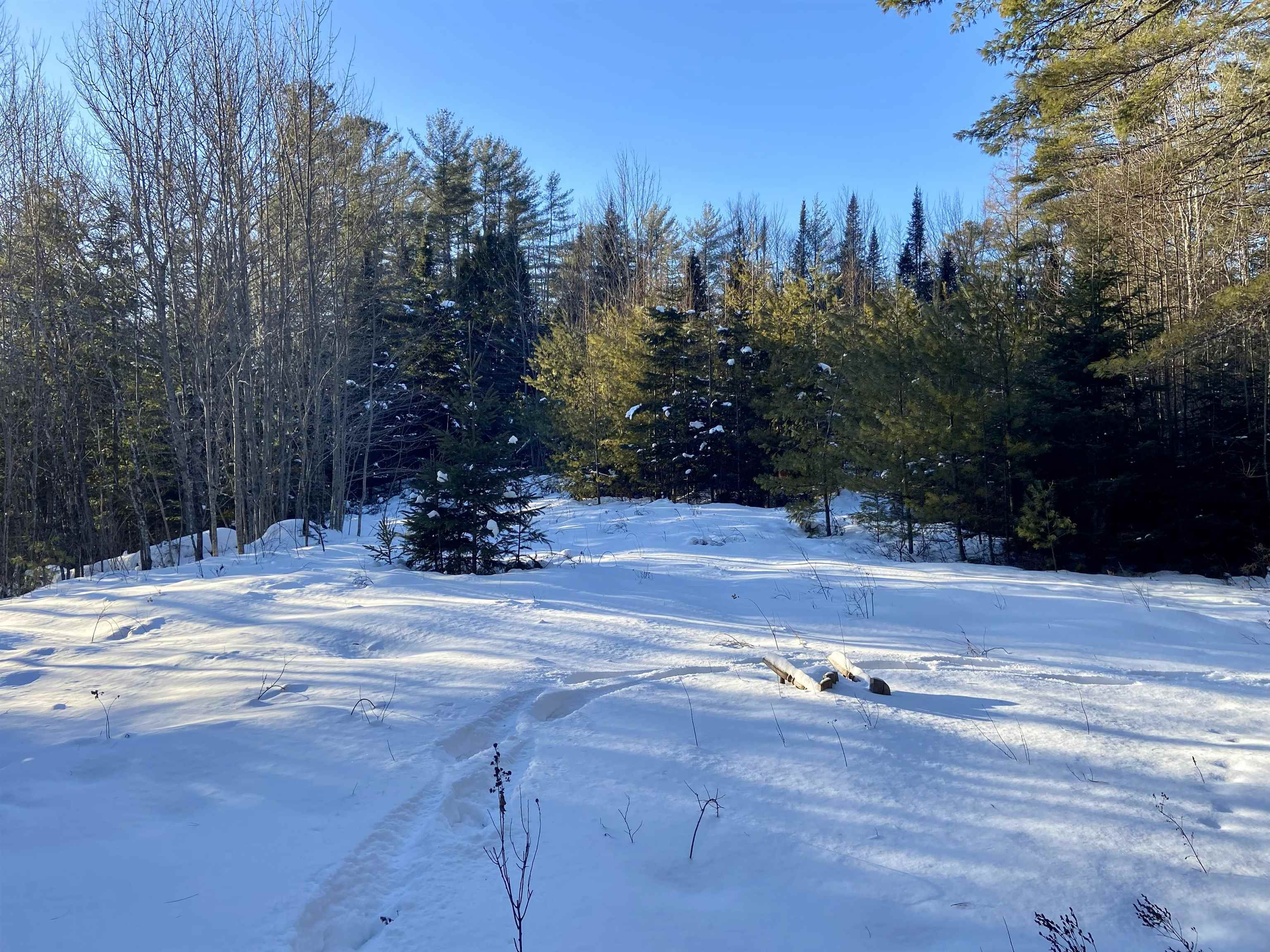 Nichols Road Dalton, NH 03598 - Photo 6 of 14
