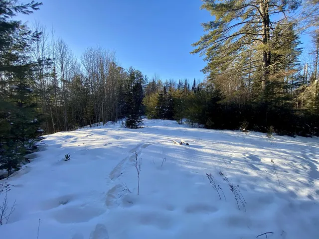 $62,000 | Nichols Road, Dalton, NH 03598