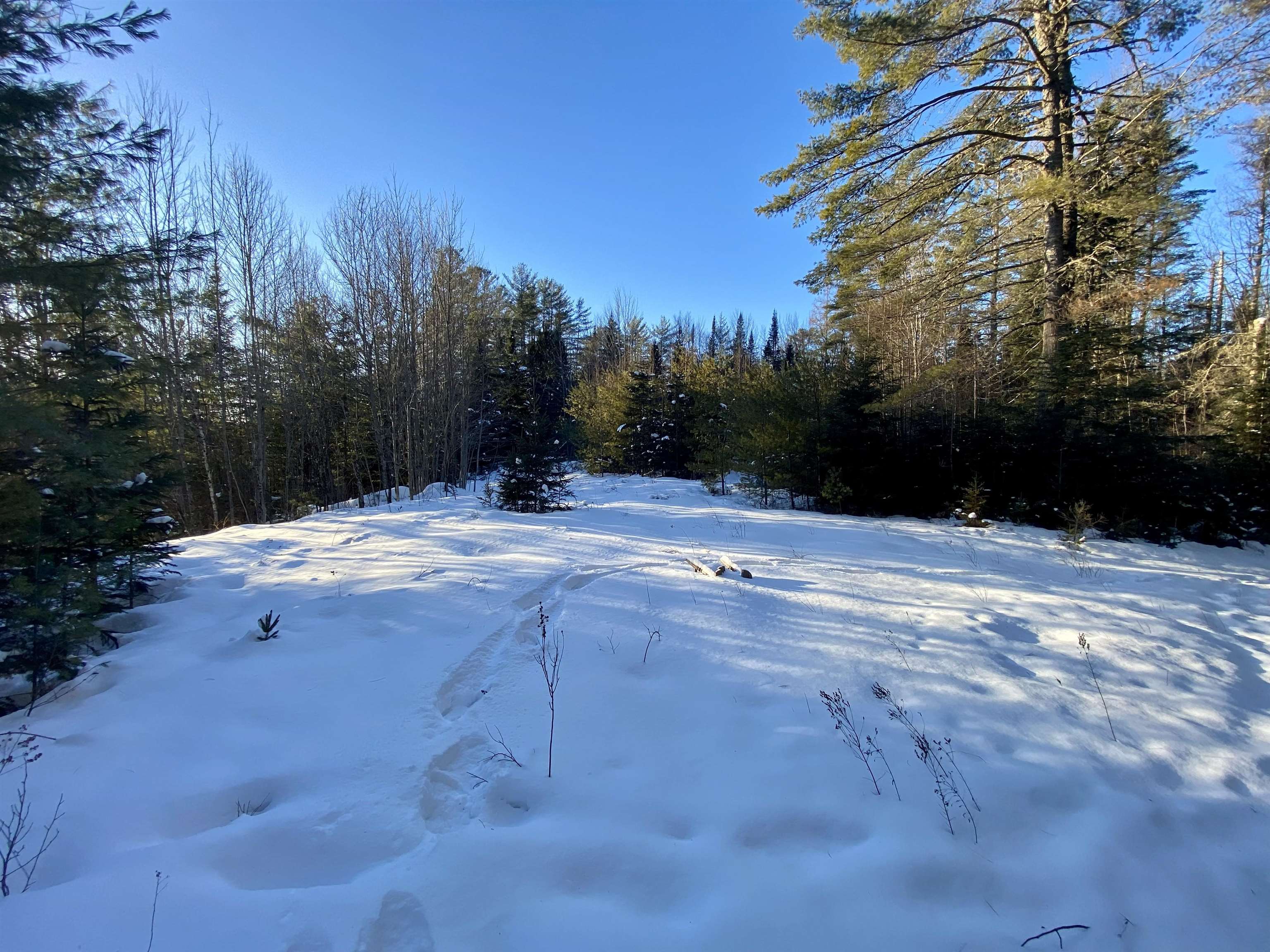 Nichols Road Dalton, NH 03598 - Photo 7 of 14