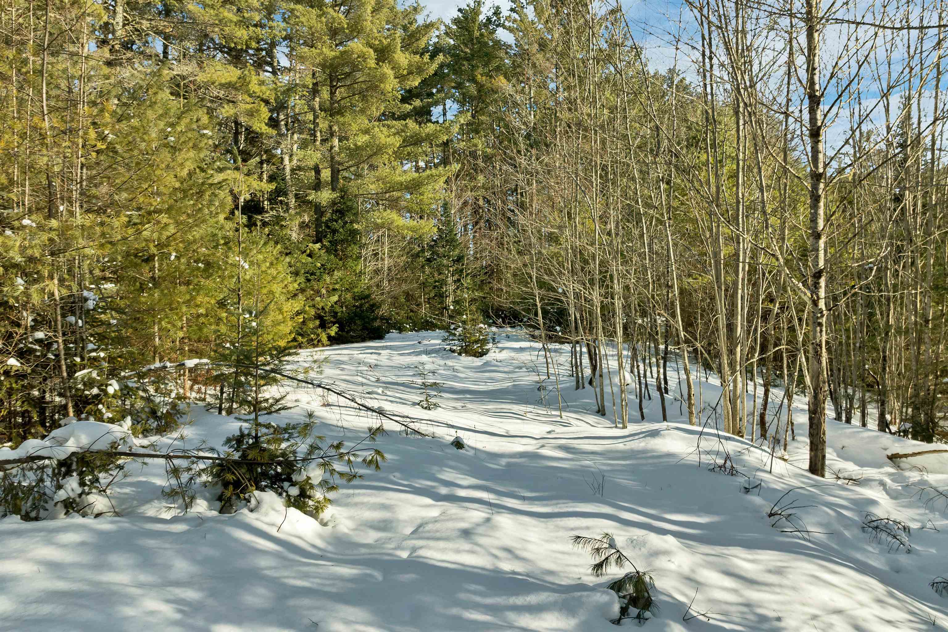 Nichols Road Dalton, NH 03598 - Photo 7 of 21