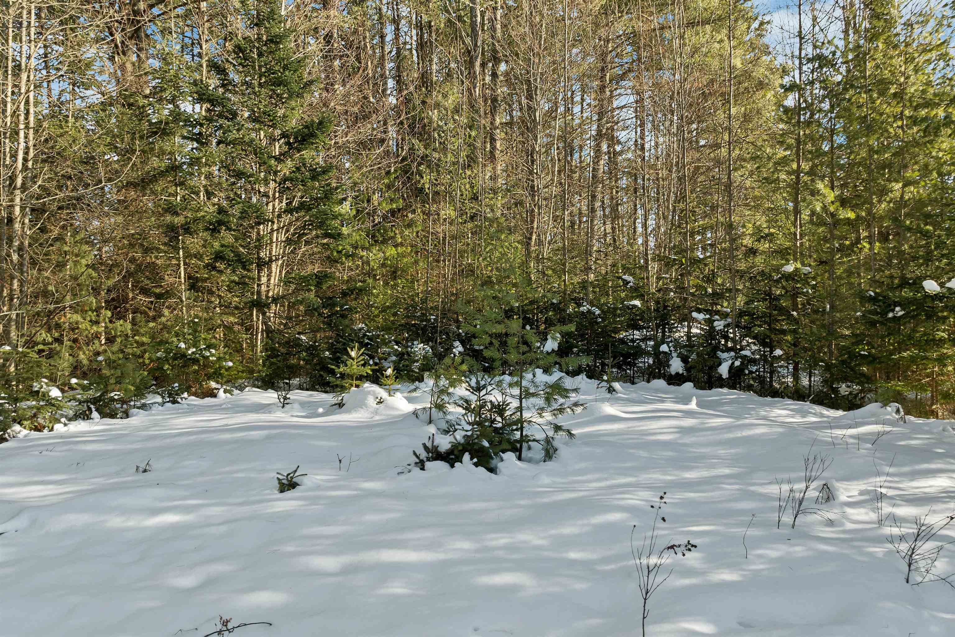 Nichols Road Dalton, NH 03598 - Photo 8 of 21
