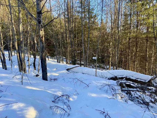$62,000 | Nichols Road, Dalton, NH 03598