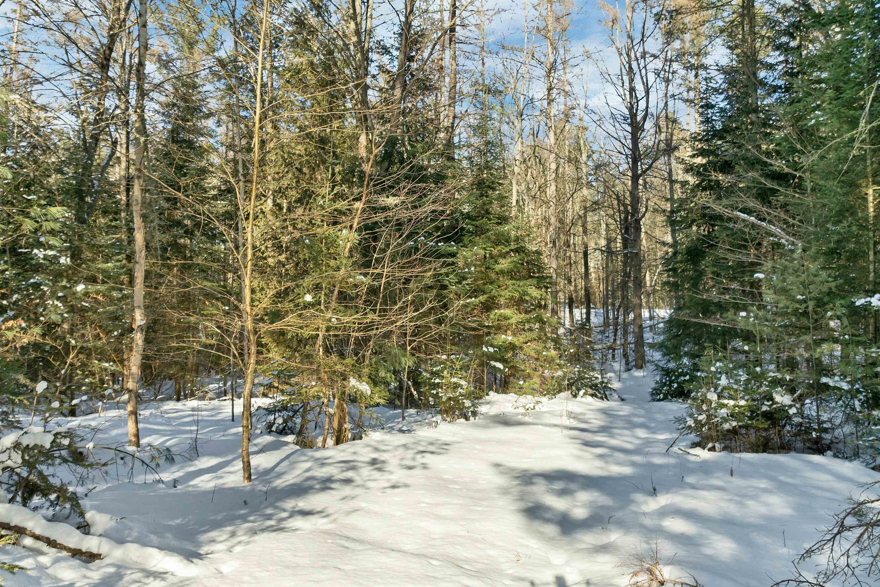 Nichols Road Dalton, NH 03598 - Photo 9 of 21