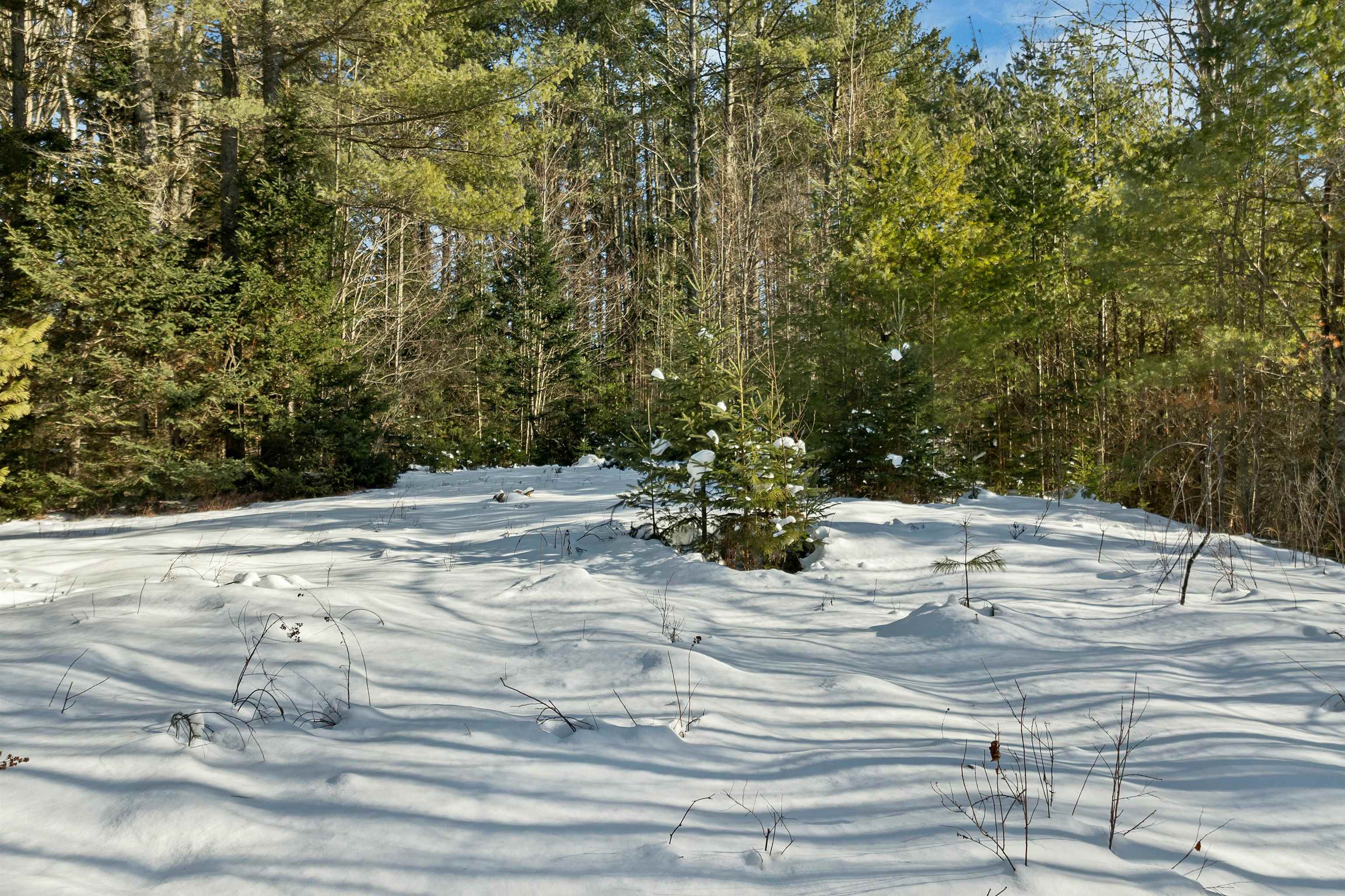 Nichols Road Dalton, NH 03598 - Photo 10 of 21