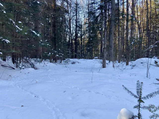 $62,000 | Nichols Road, Dalton, NH 03598