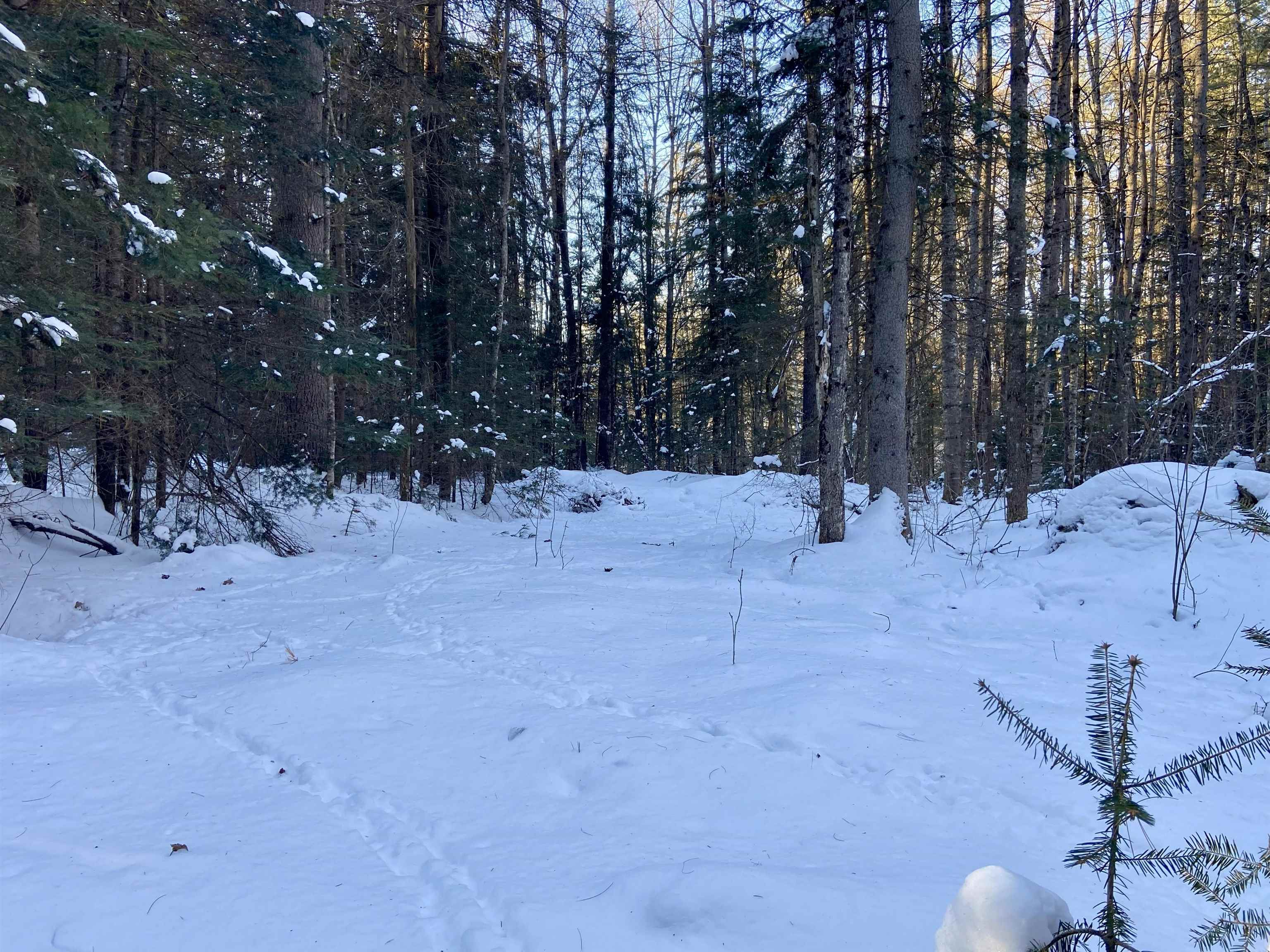 Nichols Road Dalton, NH 03598 - Photo 10 of 14