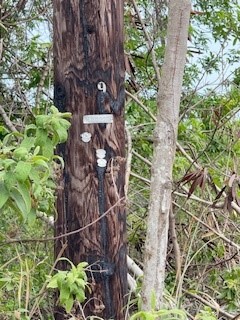 11 Mark Twain Street Naalehu, HI 96772 - Photo 3 of 7 a backyard of a house