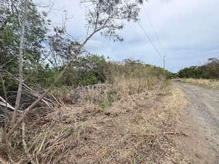 11 Mark Twain Street Naalehu, HI 96772 - Photo 5 of 7 a view of a yard with a tree