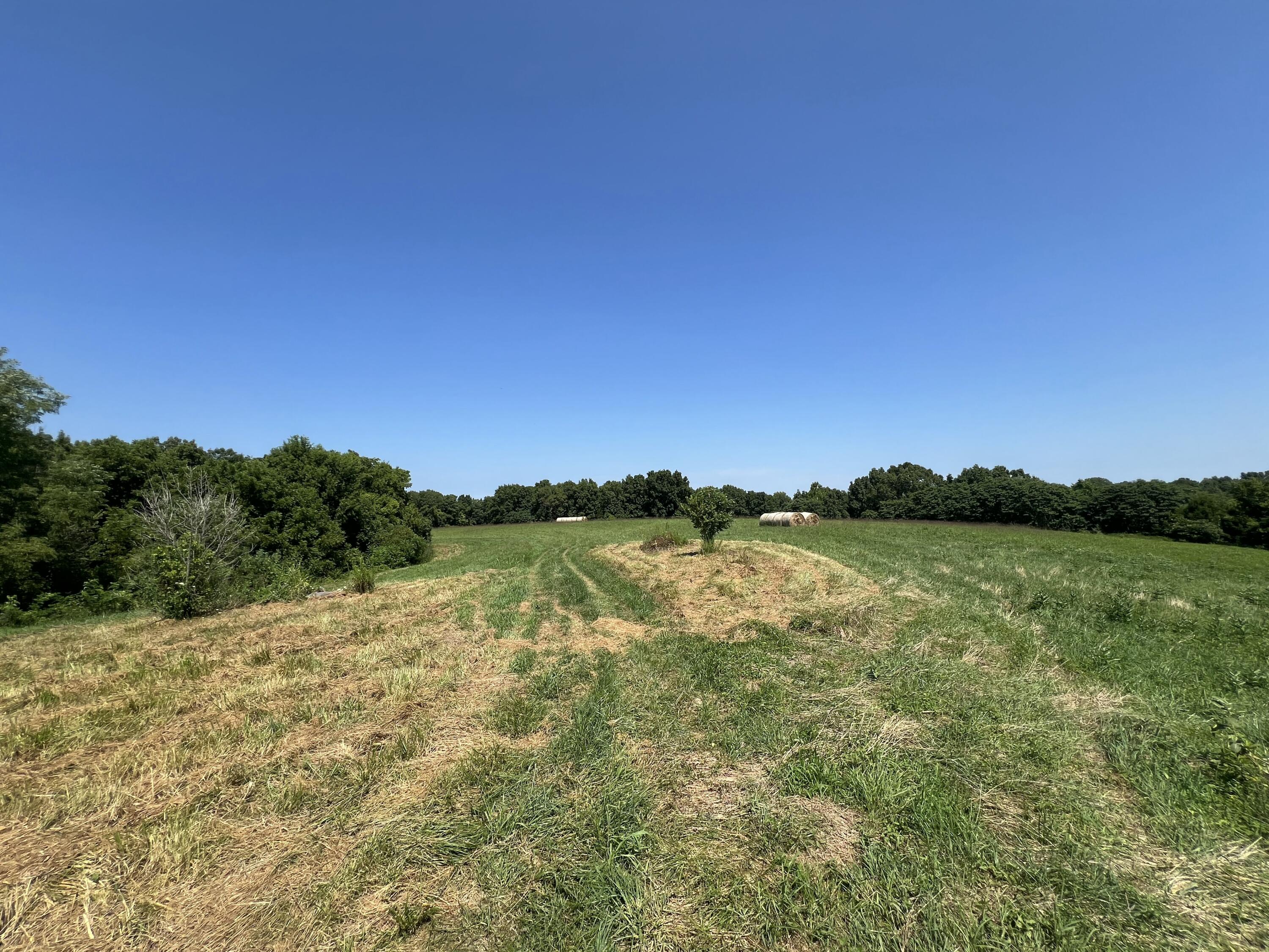 4095 Warsaw Road Dry Ridge, KY 41035 - Photo 41 of 48