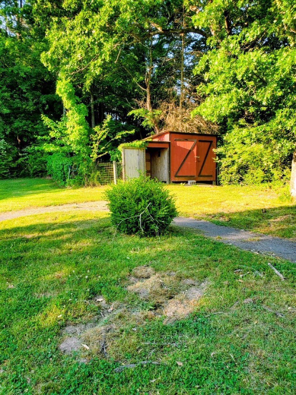 1104 Old Charlotte Road White Bluff, TN 37187 - Photo 4 of 23