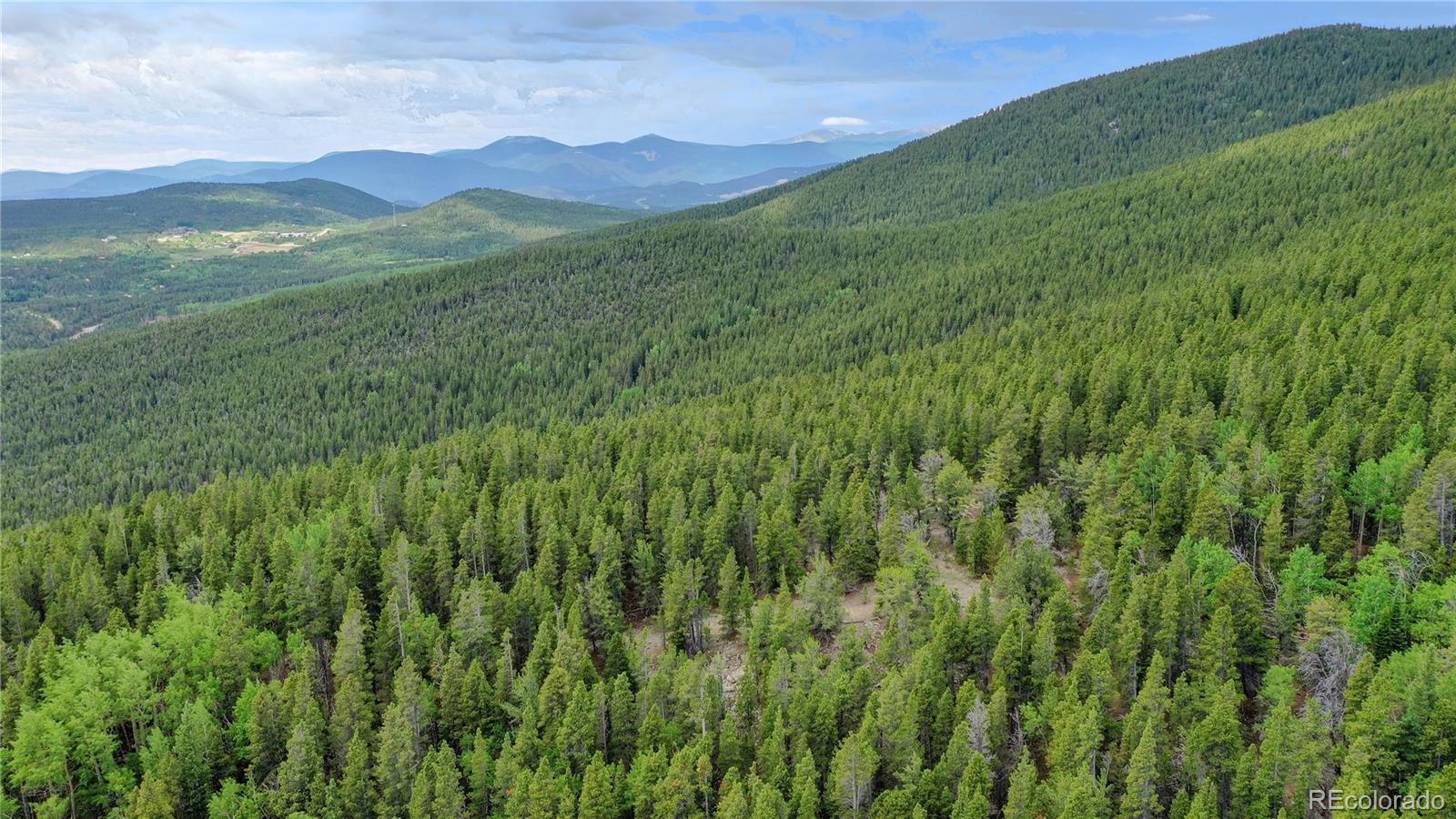 Roosevelt Ridge Black Hawk, CO 80422 - Photo 11 of 40