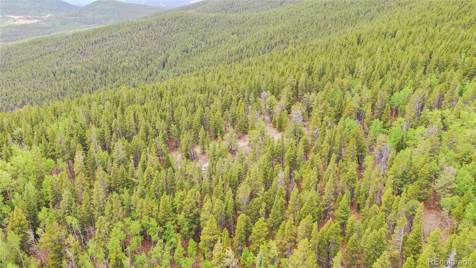 Roosevelt Ridge Black Hawk, CO 80422 - Photo 15 of 40