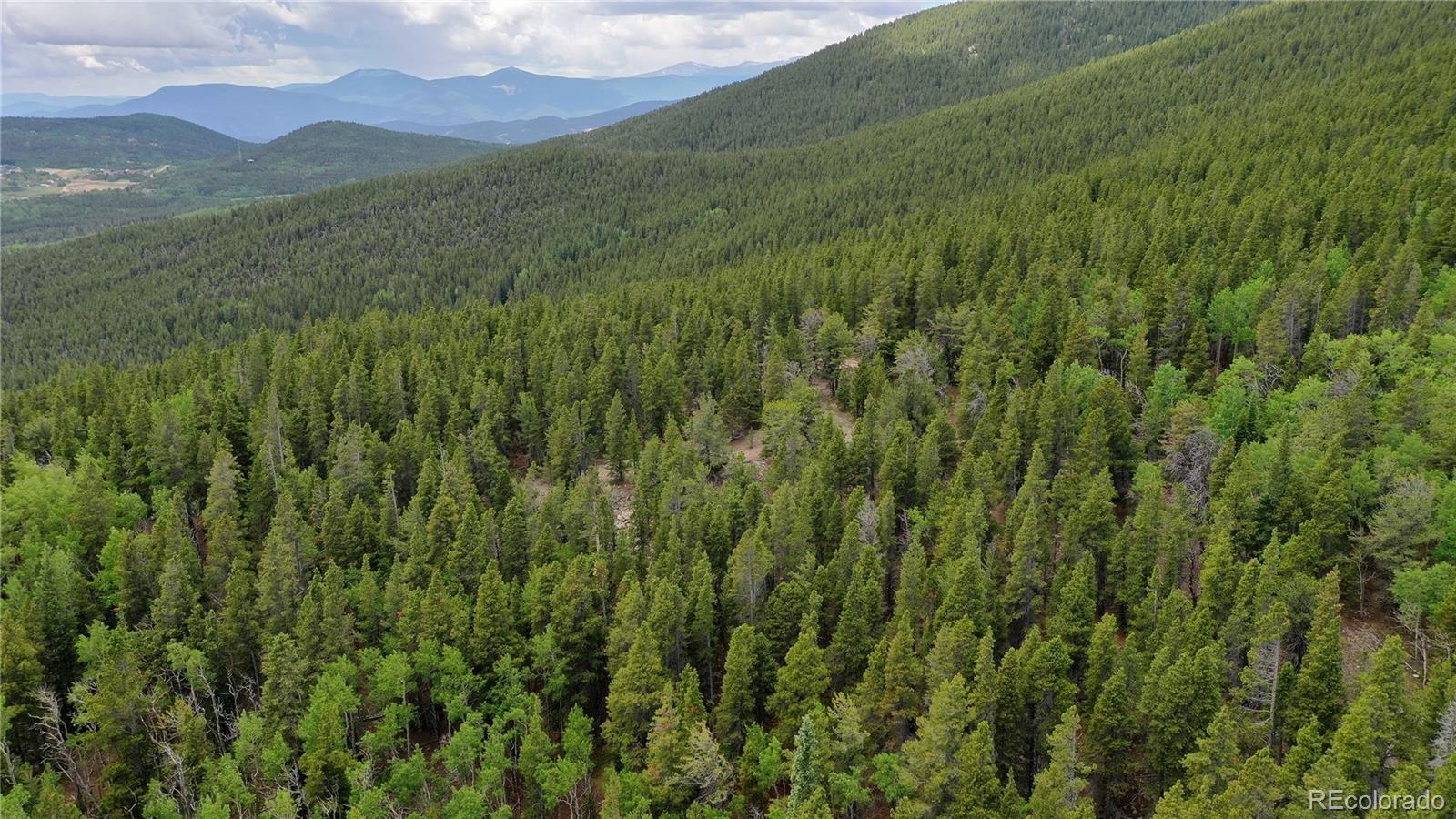 Roosevelt Ridge Black Hawk, CO 80422 - Photo 18 of 40