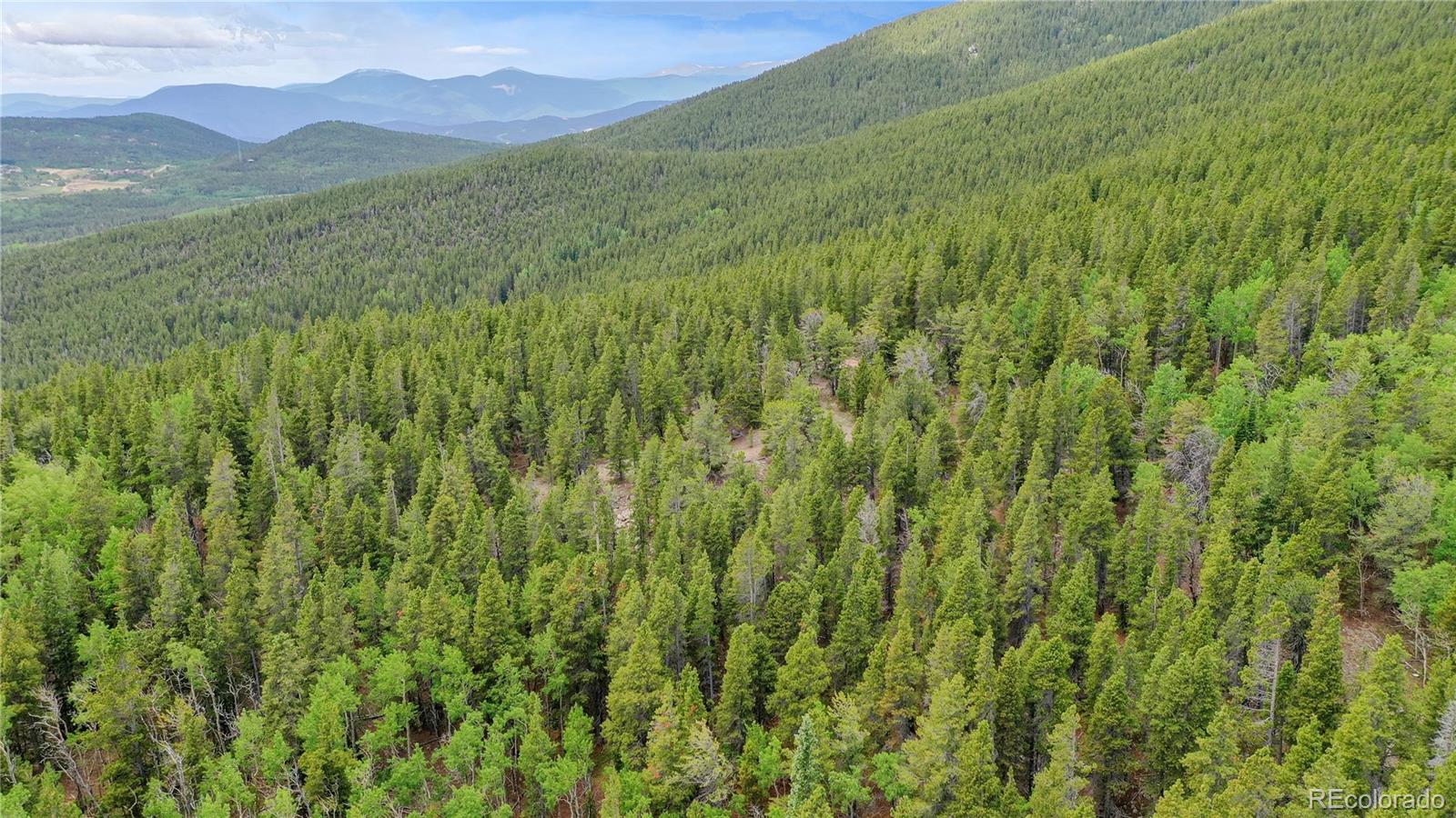 Roosevelt Ridge Black Hawk, CO 80422 - Photo 21 of 40