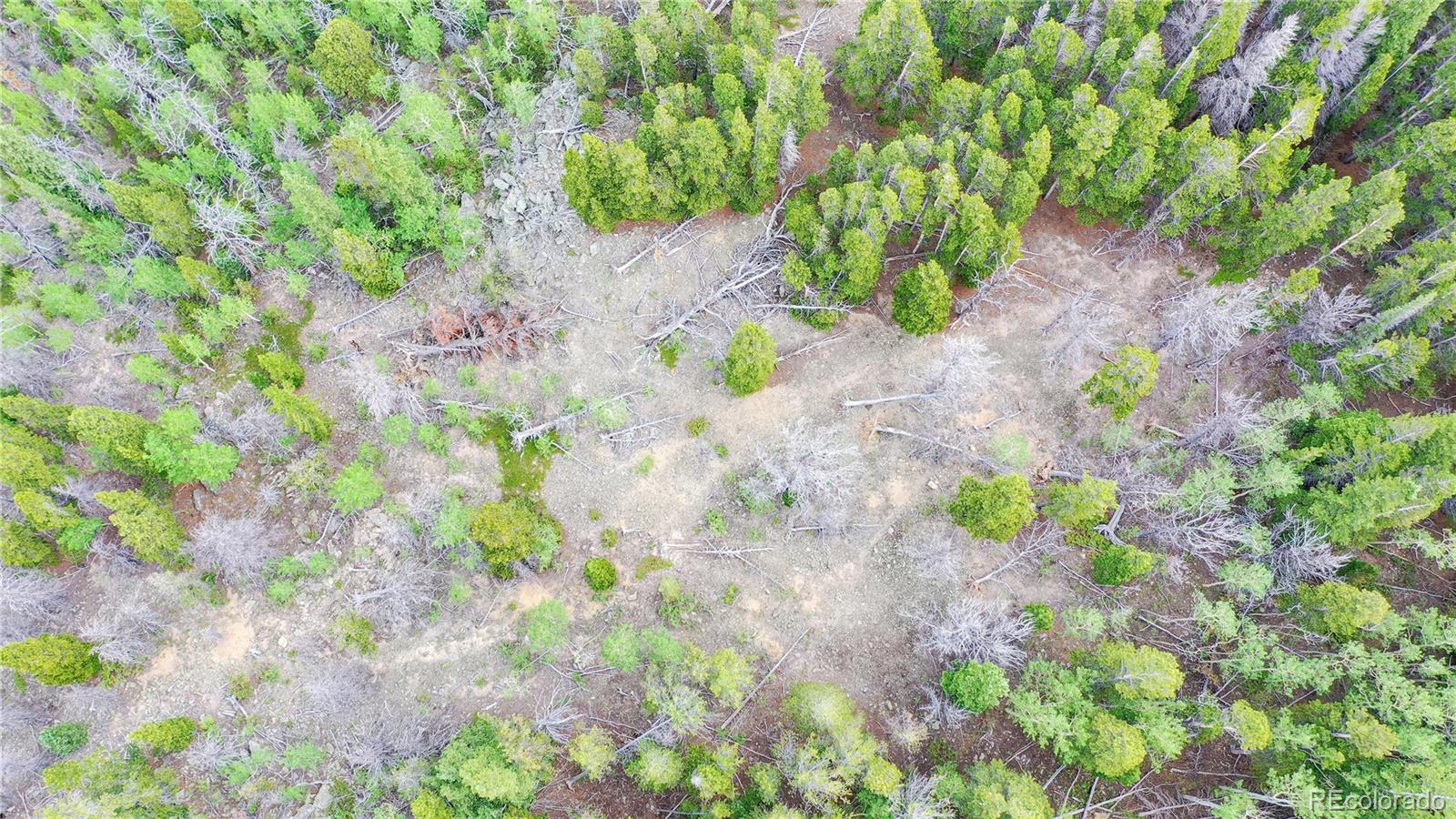 Roosevelt Ridge Black Hawk, CO 80422 - Photo 4 of 40