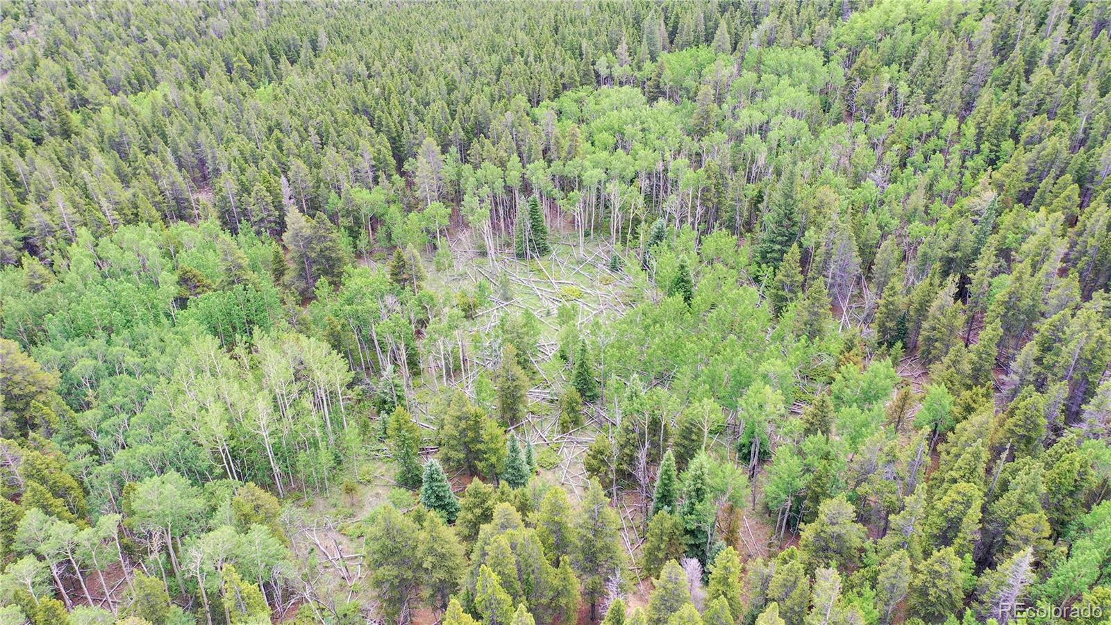 Roosevelt Ridge Black Hawk, CO 80422 - Photo 5 of 40