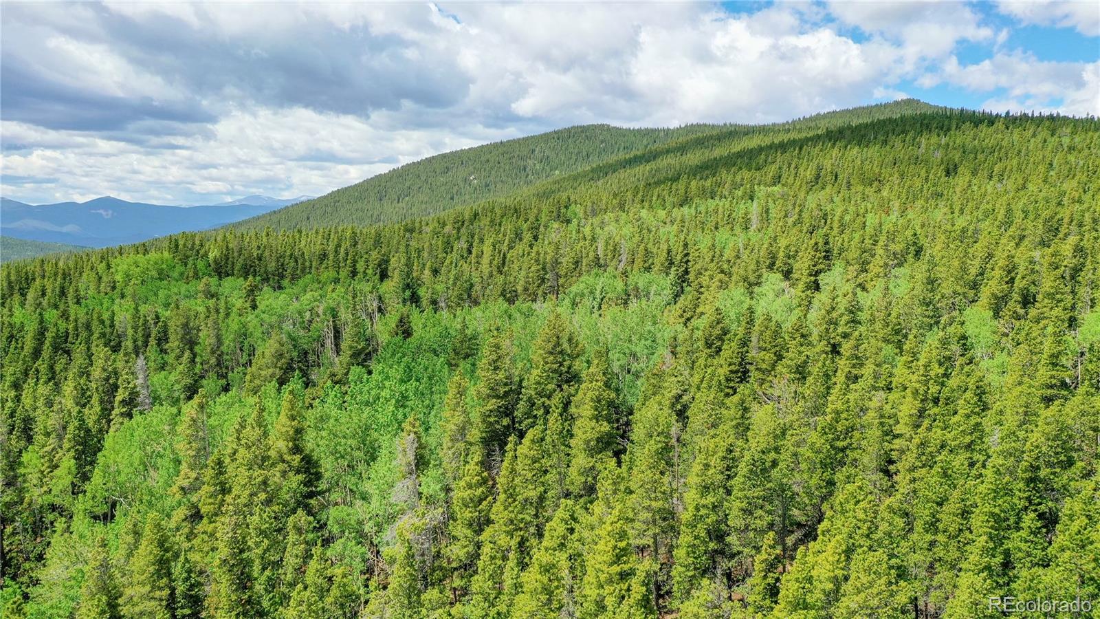 Roosevelt Ridge Black Hawk, CO 80422 - Photo 8 of 40