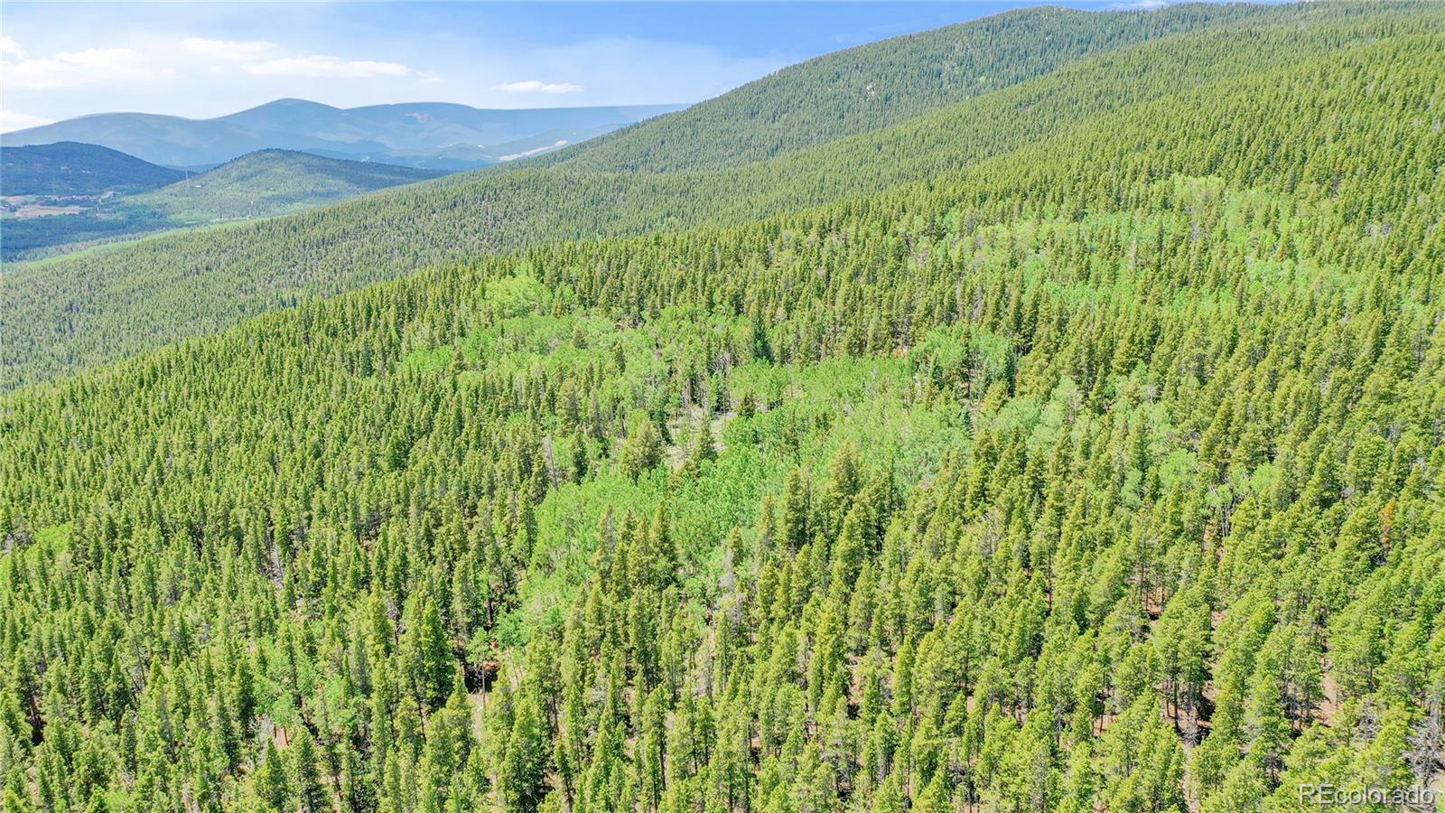 Roosevelt Ridge Black Hawk, CO 80422 - Photo 9 of 40