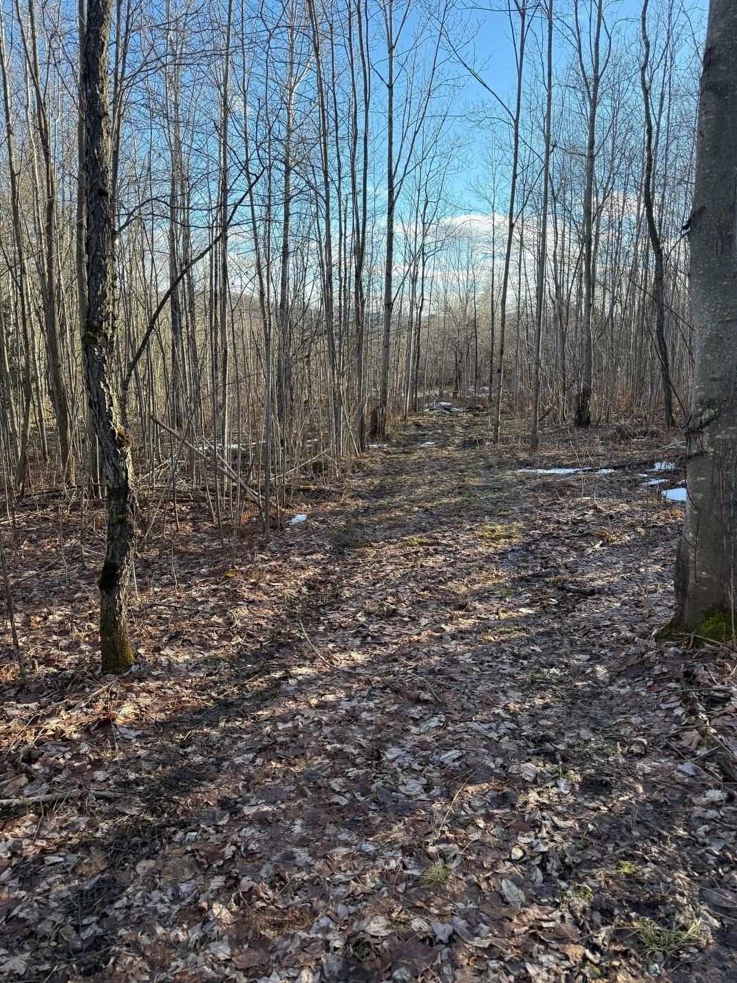 92 Great Northern Road Troy, VT 05859 - Photo 21 of 24