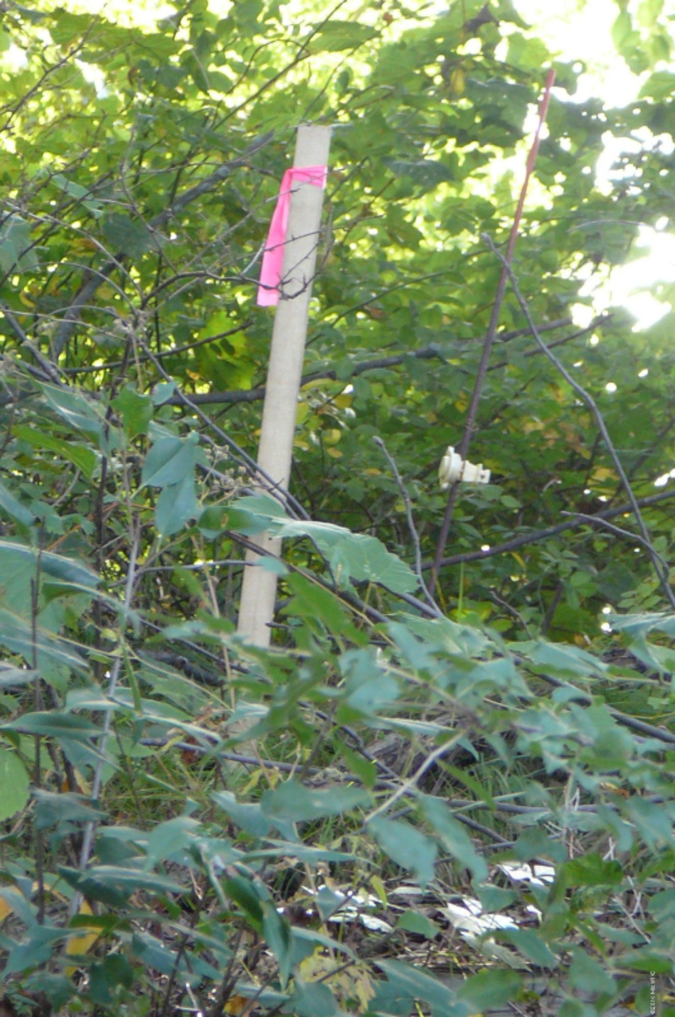Mercer Road Jerome, MI 49249 - Photo 7 of 9 8039 approx location of West stake