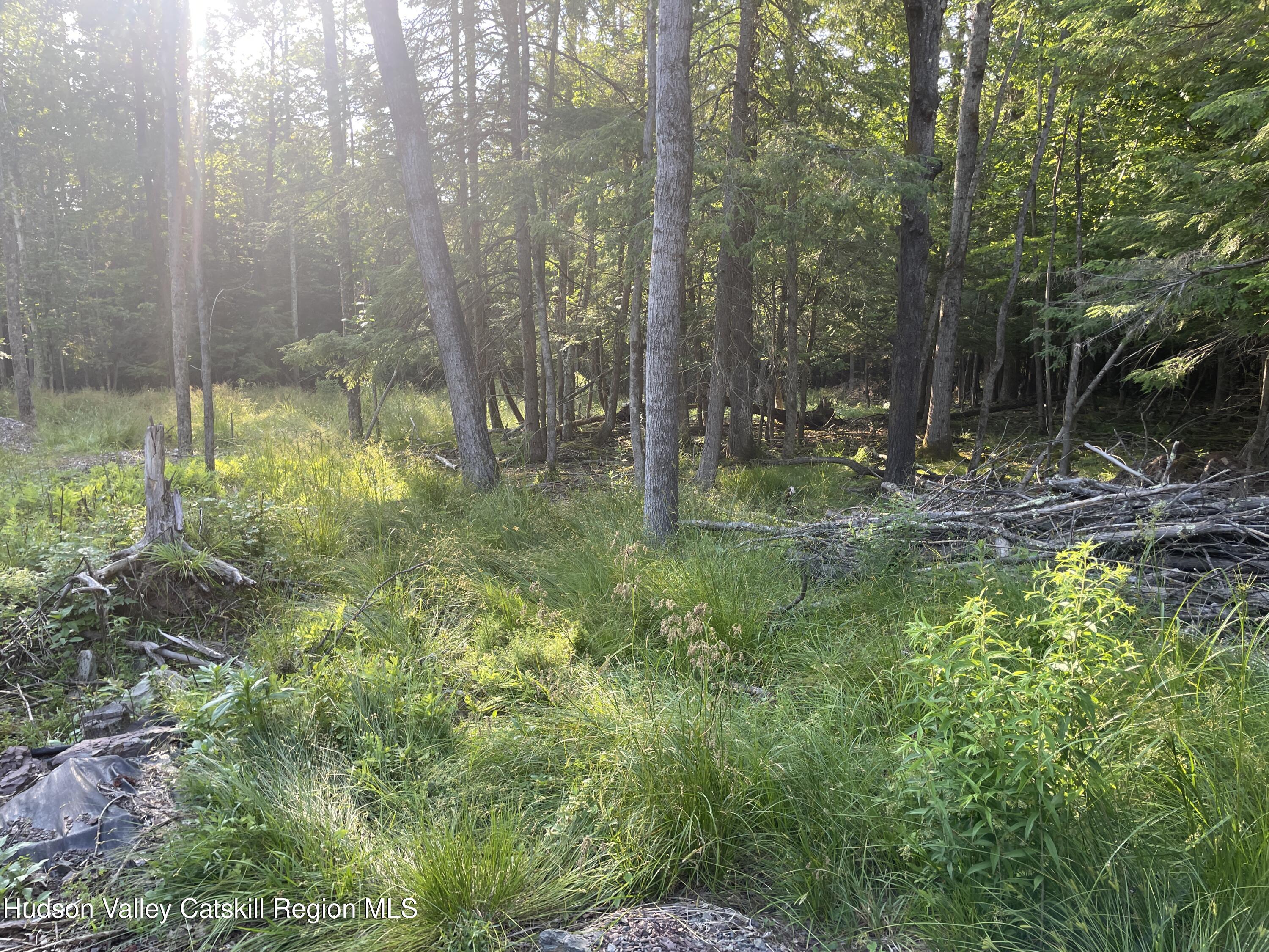 Tbd Boulder Brook Road Windham, NY 12496 - Photo 8 of 57 IMG_0656