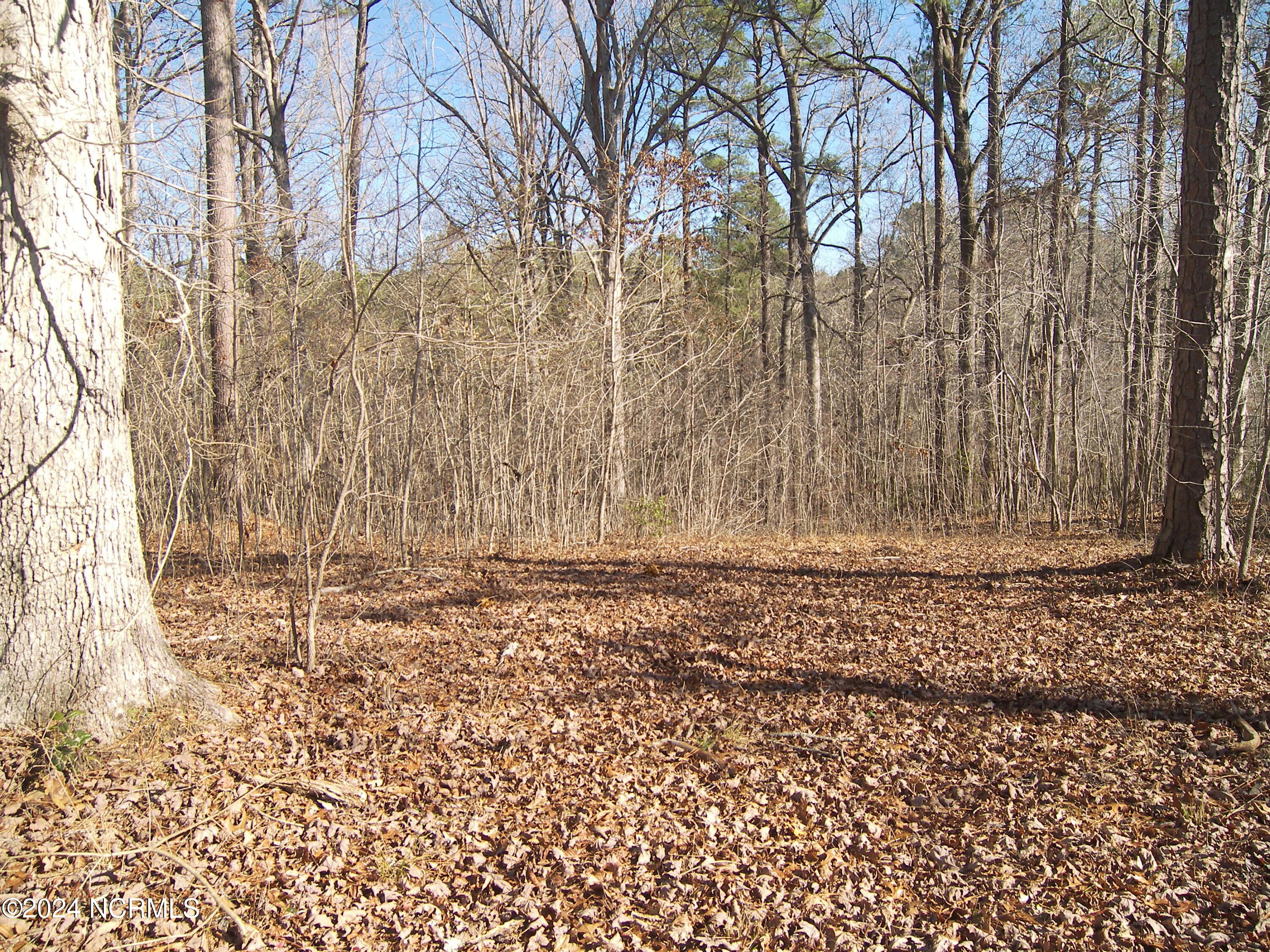 0 Seven Paths Road Spring Hope, NC 27882 - Photo 4 of 7 100_8016