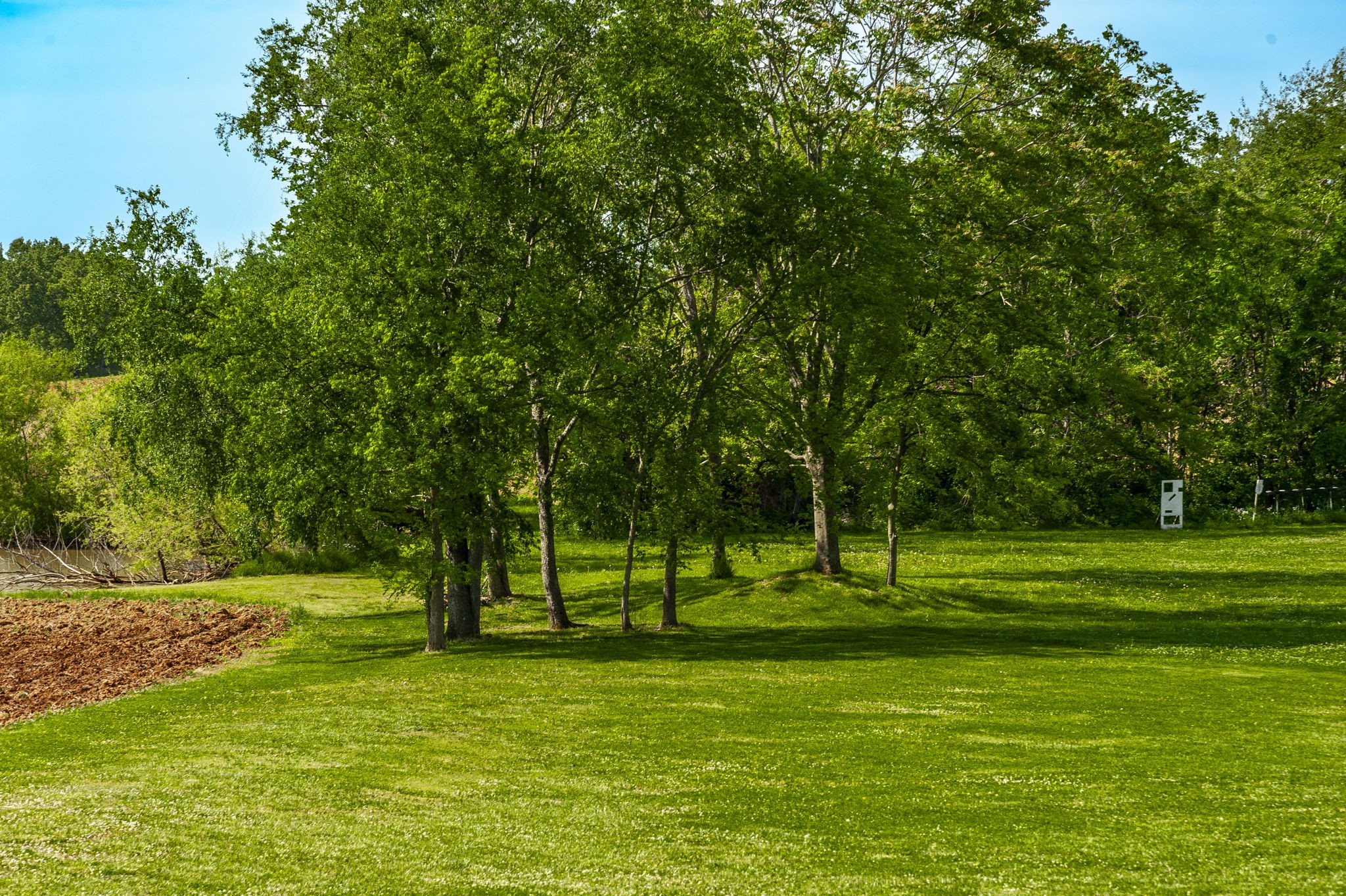 1261 Friendship Road Cross Plains, TN 37049 - Photo 38 of 47 a view of a park with a tree