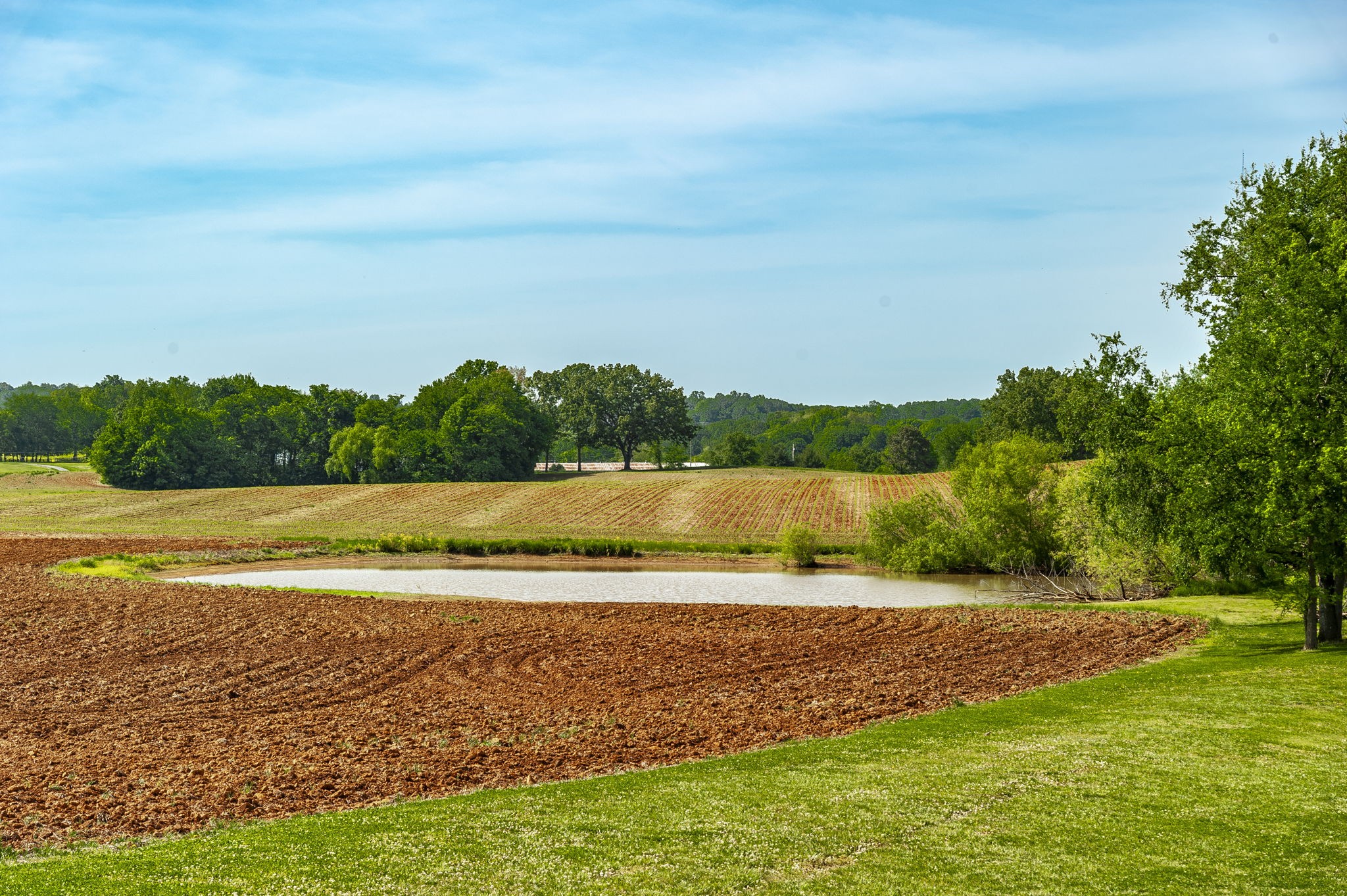 1261 Friendship Road Cross Plains, TN 37049 - Photo 39 of 47 a view of a lake with outdoor space