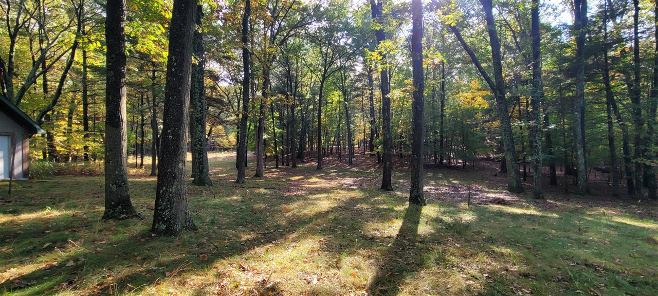 5921 Longbridge Road Pentwater, MI 49449 - Photo 11 of 47