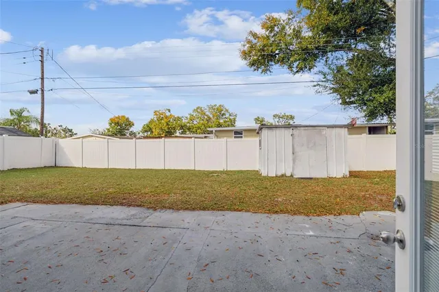 a view of backyard and tree