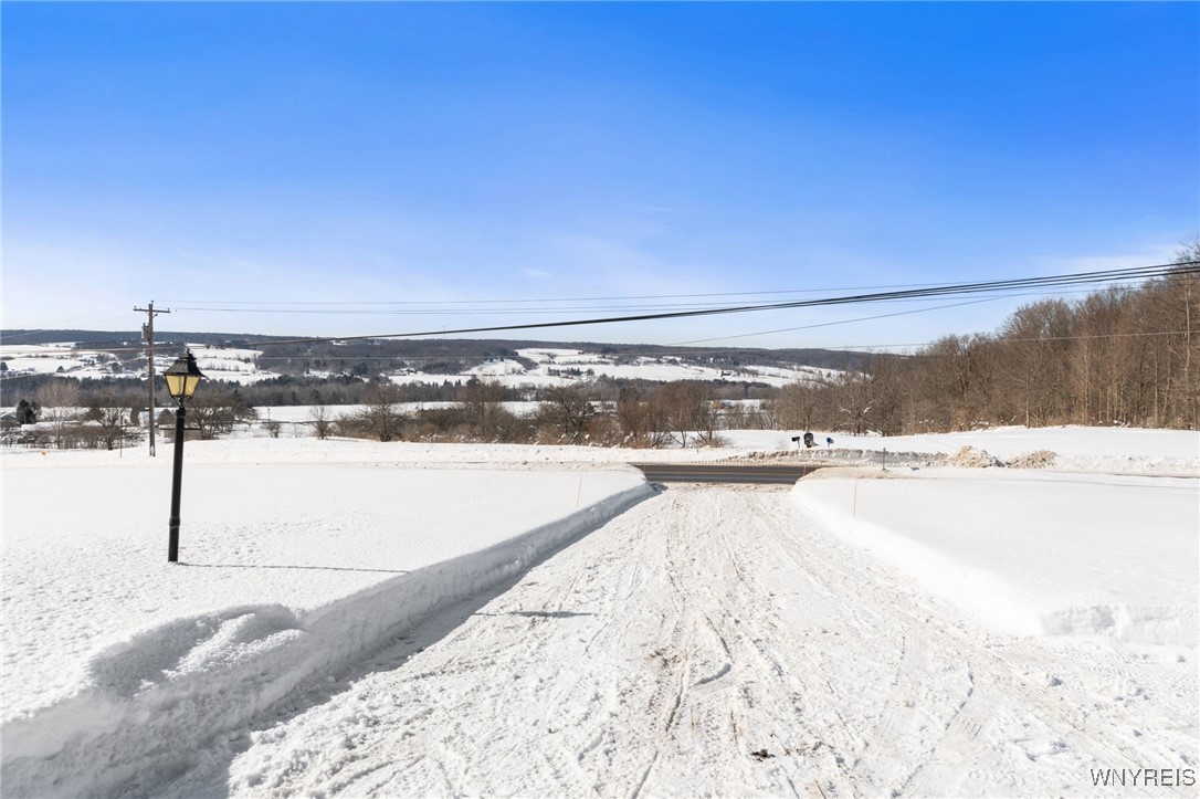 3561 Dutch Hollow Road Sheldon, NY 14145 - Photo 47 of 50 Main Driveway