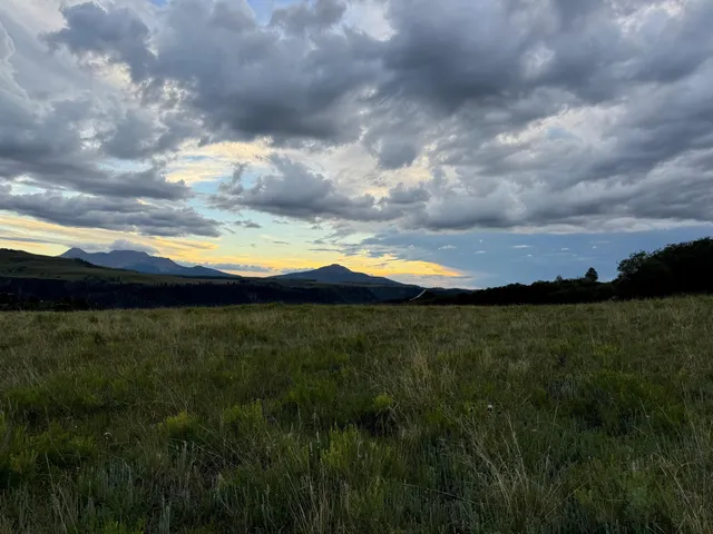 a view of a lake from a yard