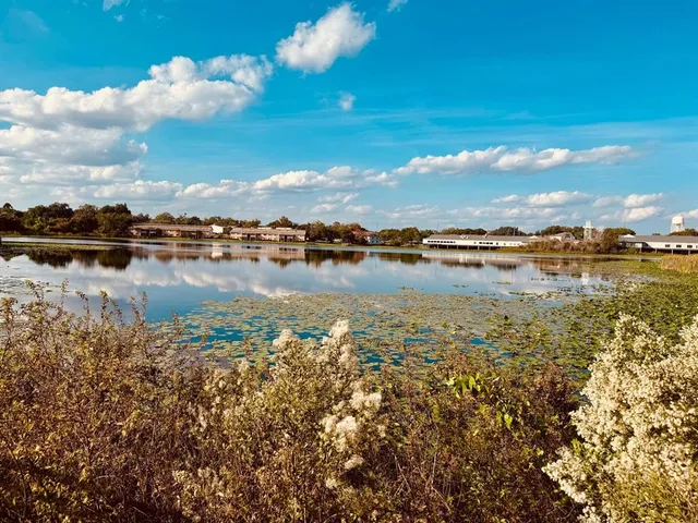a view of chairs and tables in the patio